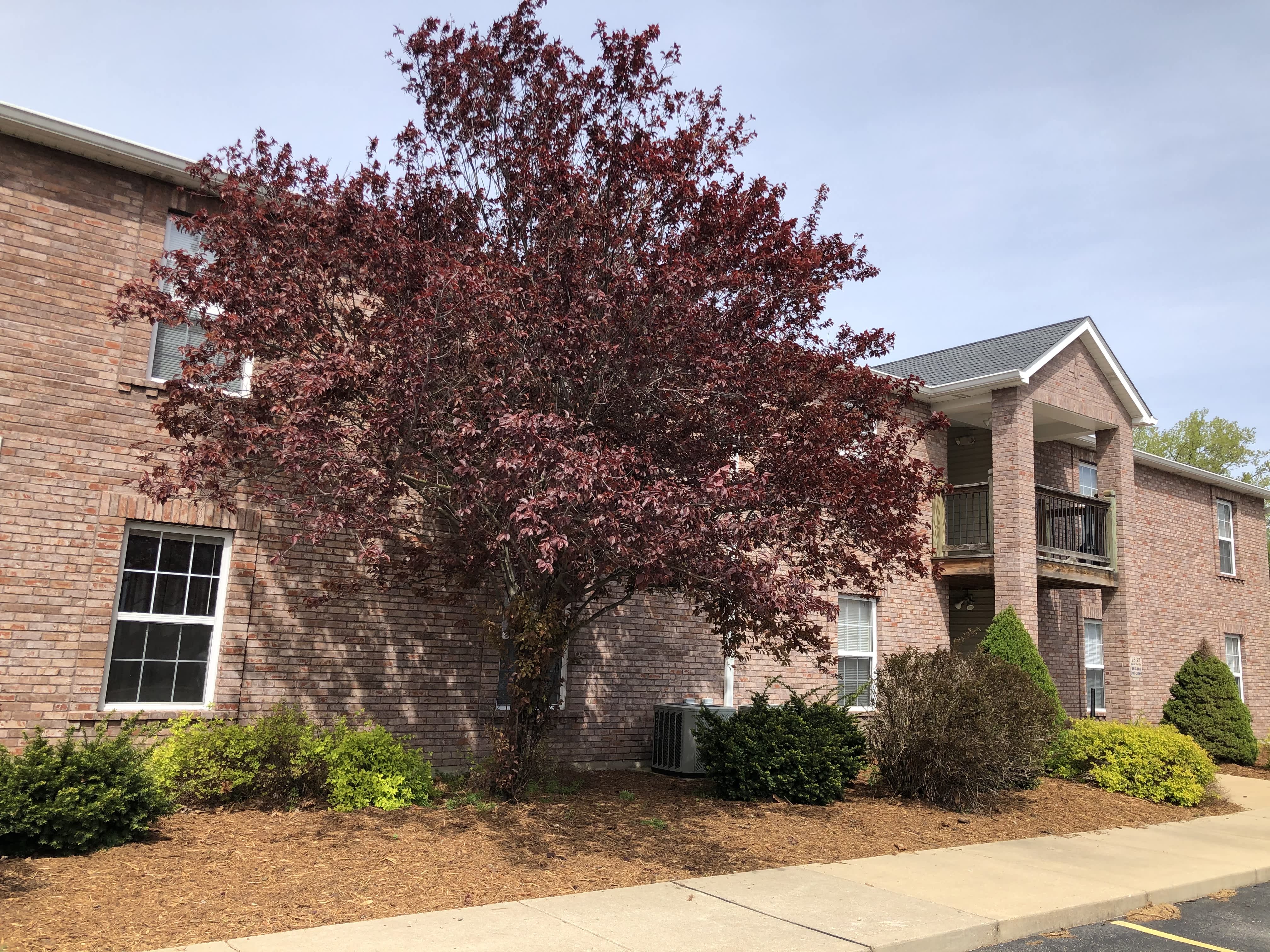 1535 W Pacific St – photo 1
