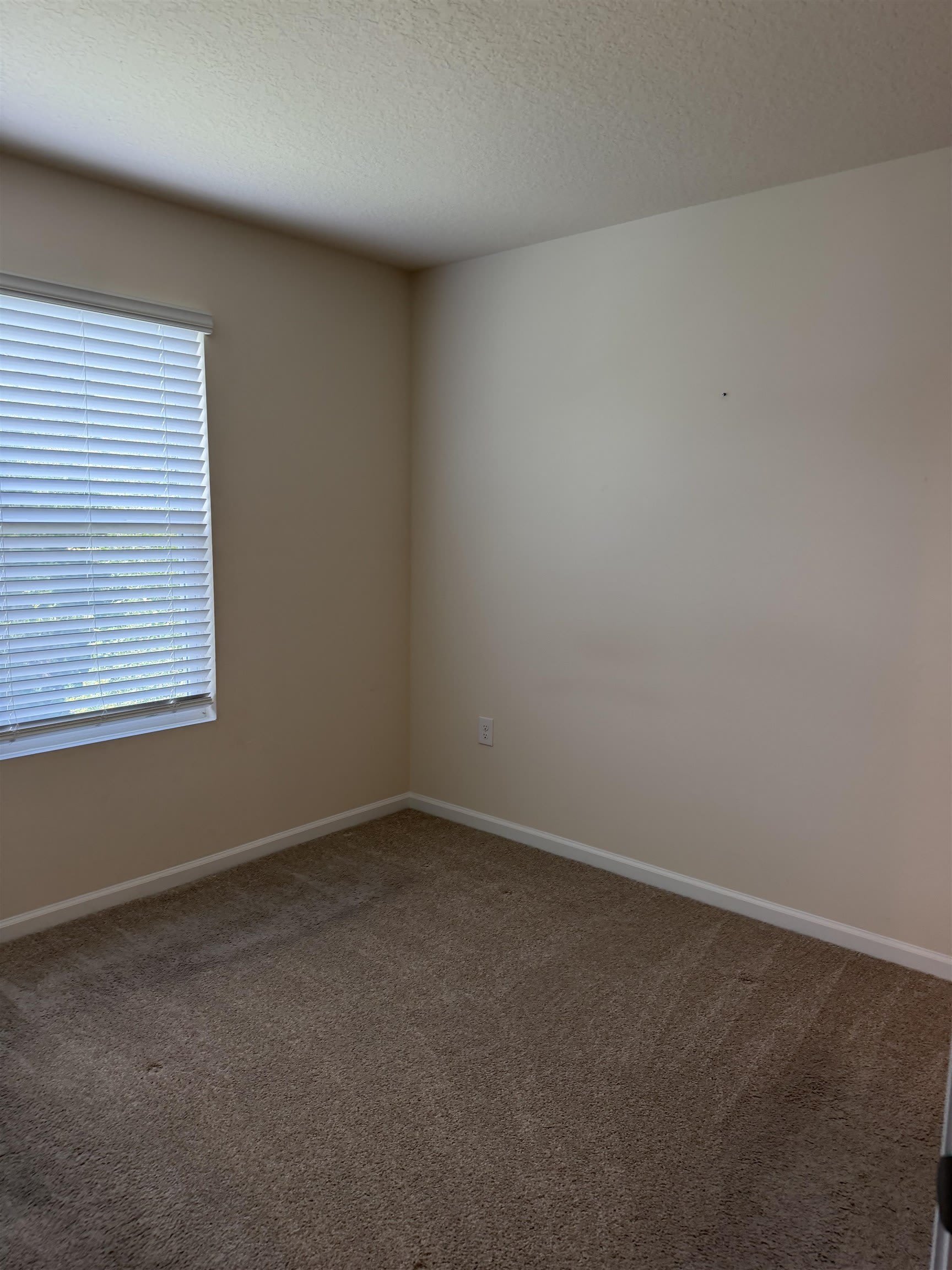 136 Whispering Brook Dr – photo 4