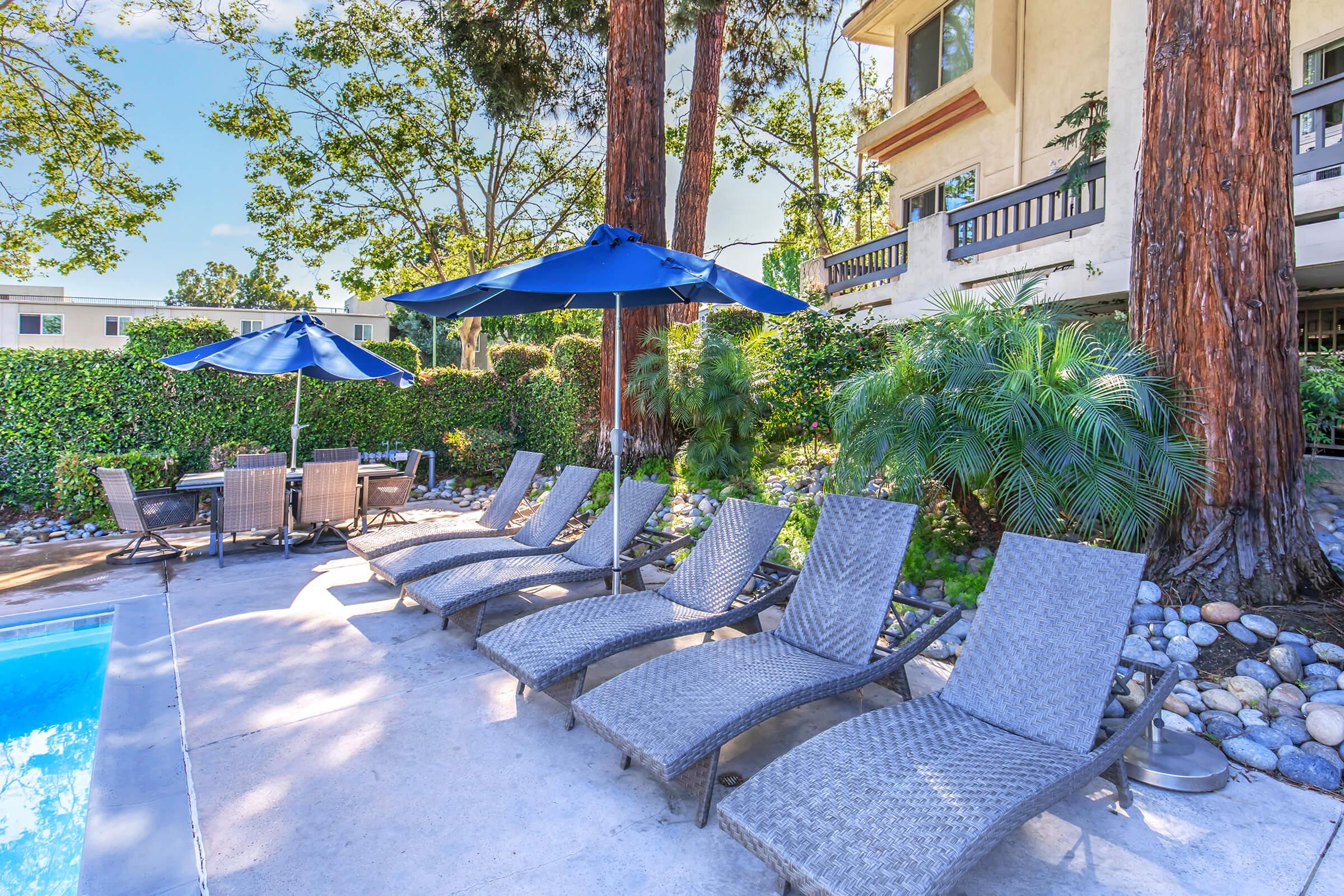 Paloma Vista Apartment Homes – photo 4