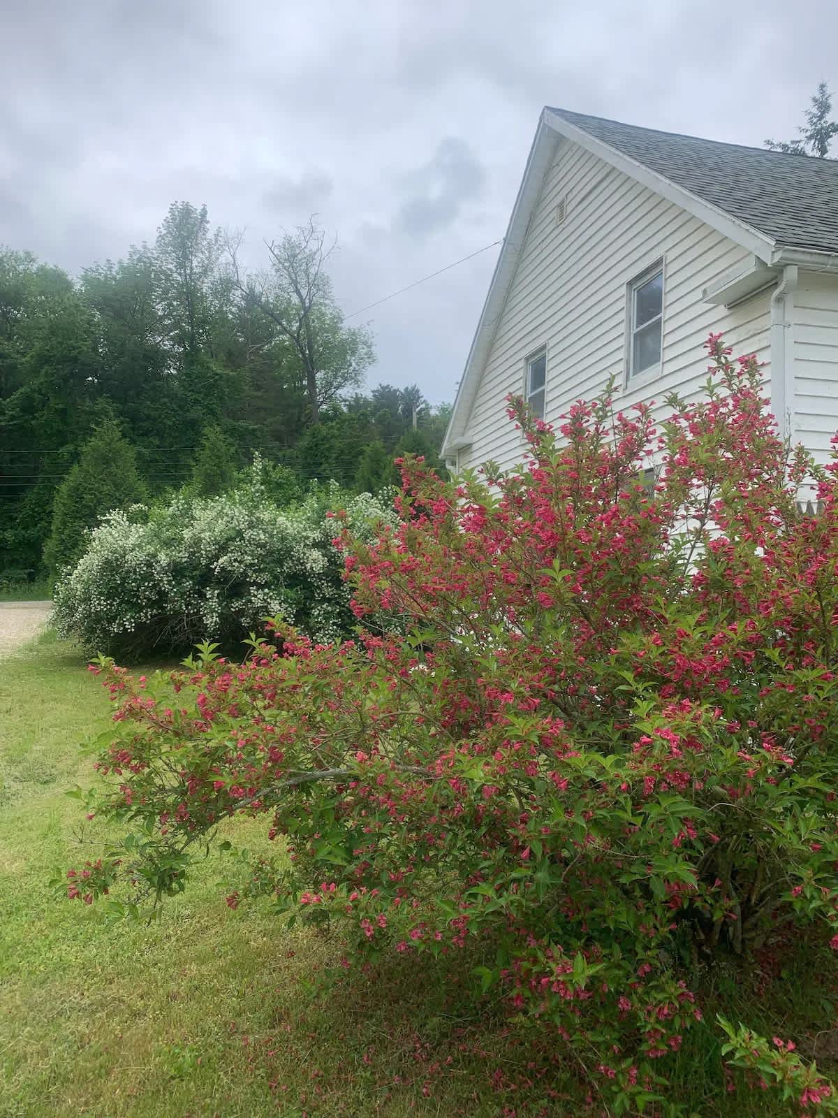 136 Hillsdale Rd – photo 2