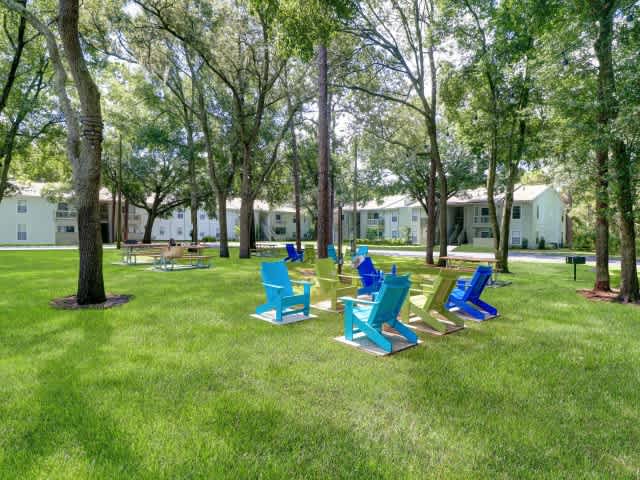 The Grove – photo 4
