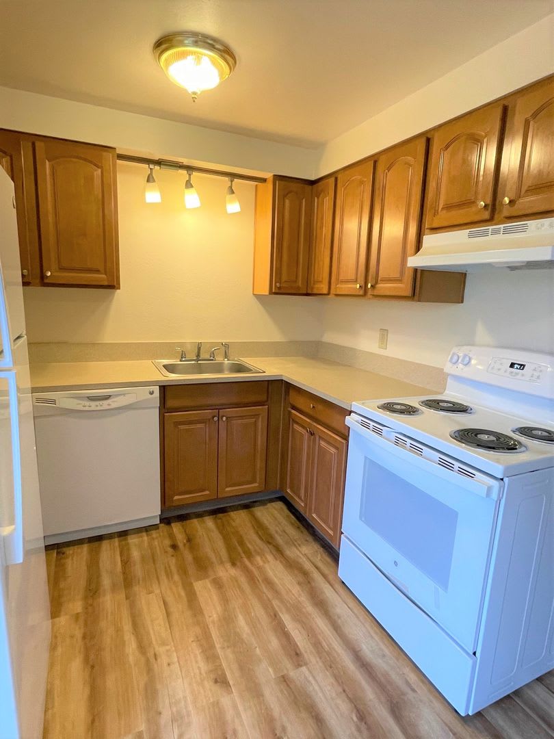 1330 S Ivy Street Charming Updated Duplex With Brand New Carpet – photo 4