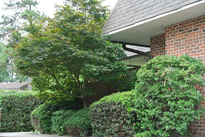 200 Finley Forest Drive – photo 1