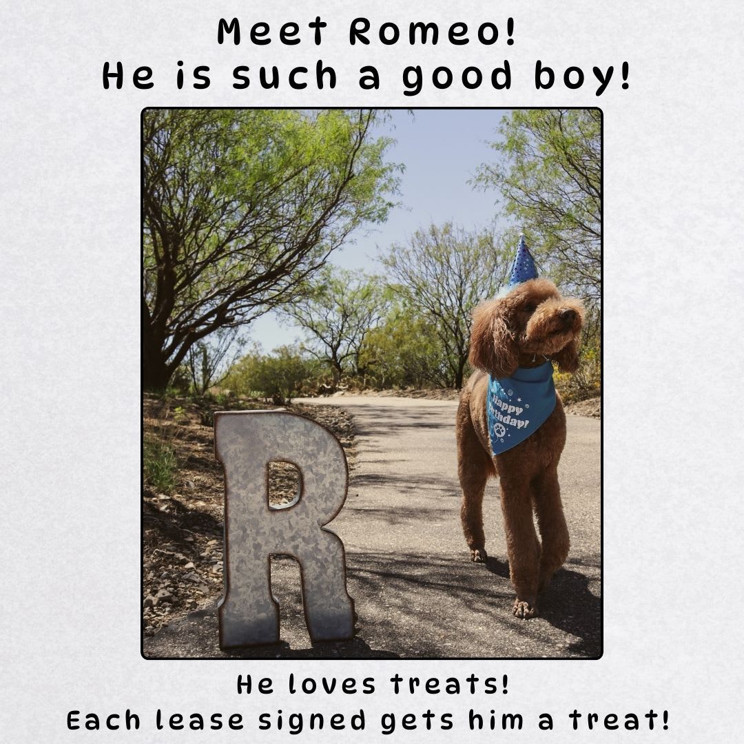 Coming soon! Rare Mission Kansas home for rent – photo 2