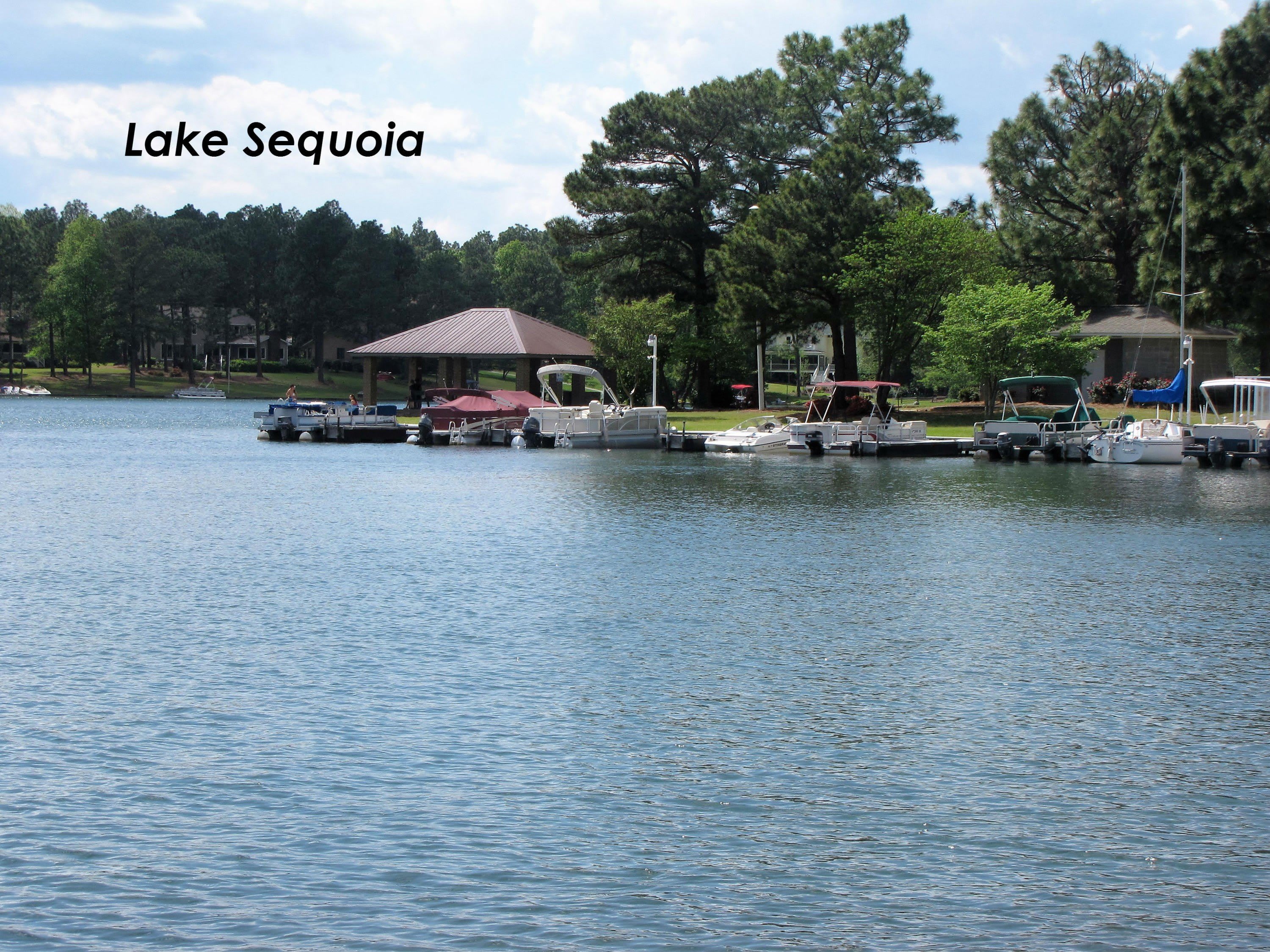 289 Firetree Lane – photo 2