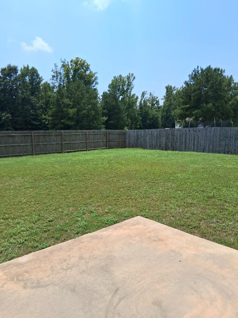 Tuscaloosa – photo 2