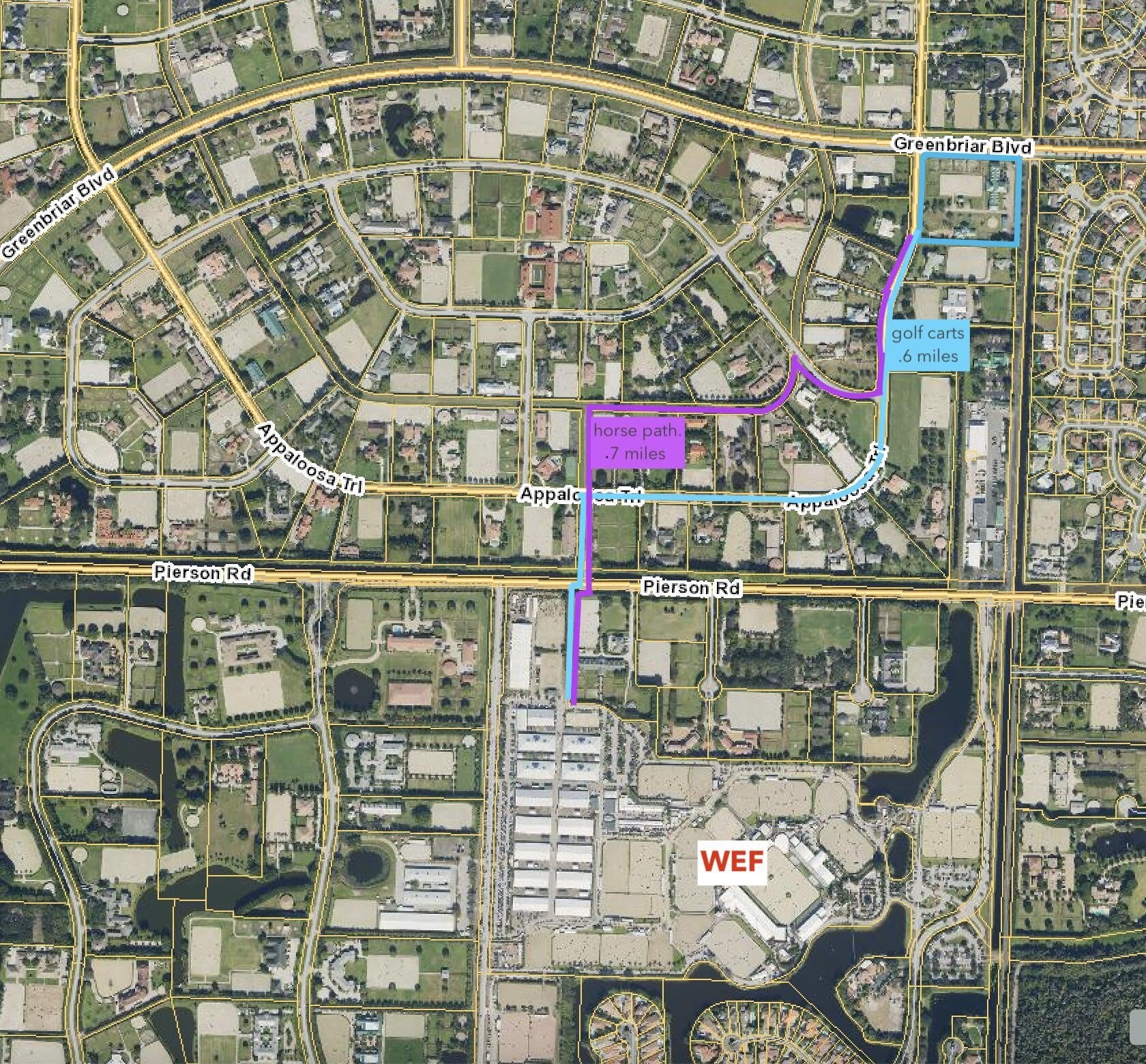 2600 APPALOOSA Trail – photo 2