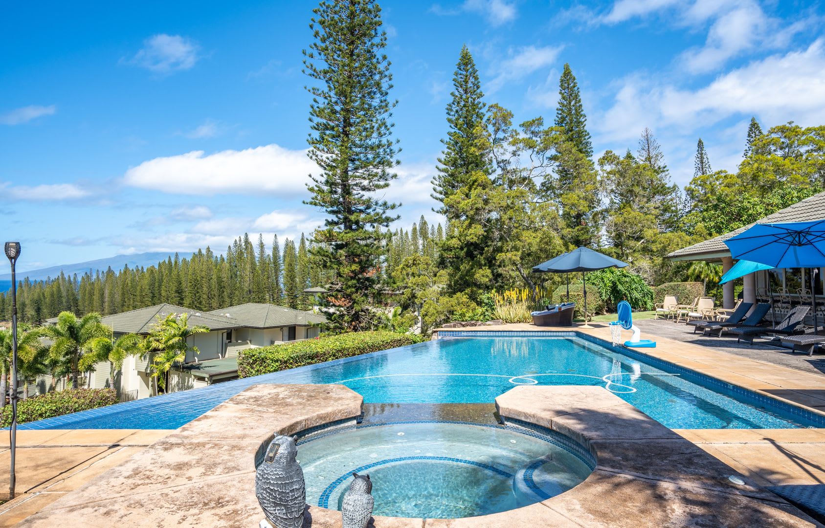 Private Kapalua Estate in Pineapple Hill – 4 Bedroom 4.5 Bath Luxury Home with Pool – photo 2