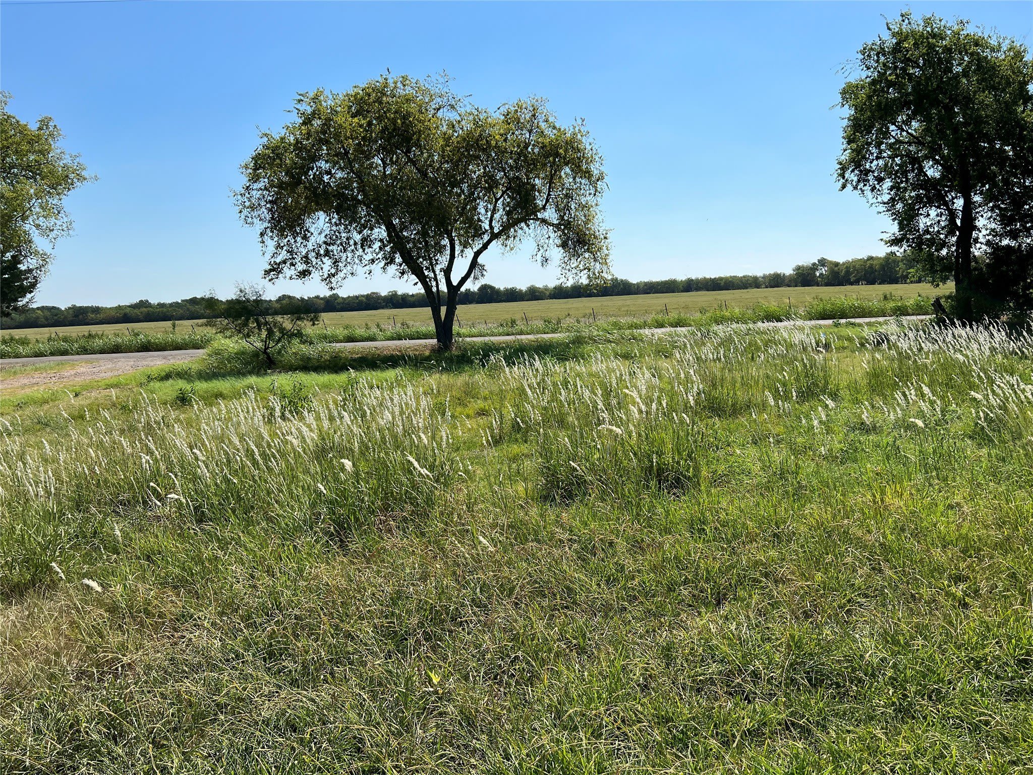 4418 County Road 2596 – photo 2