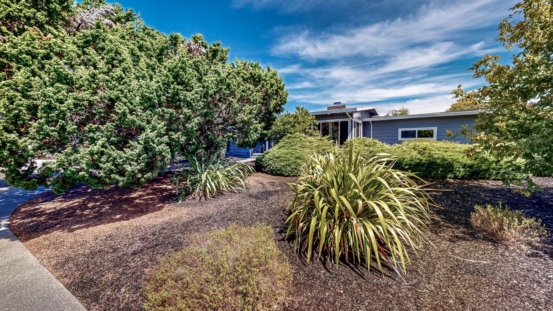 Gorgeous Three Bedroom Two Bath Bennett Valley Single Story Home – photo 2