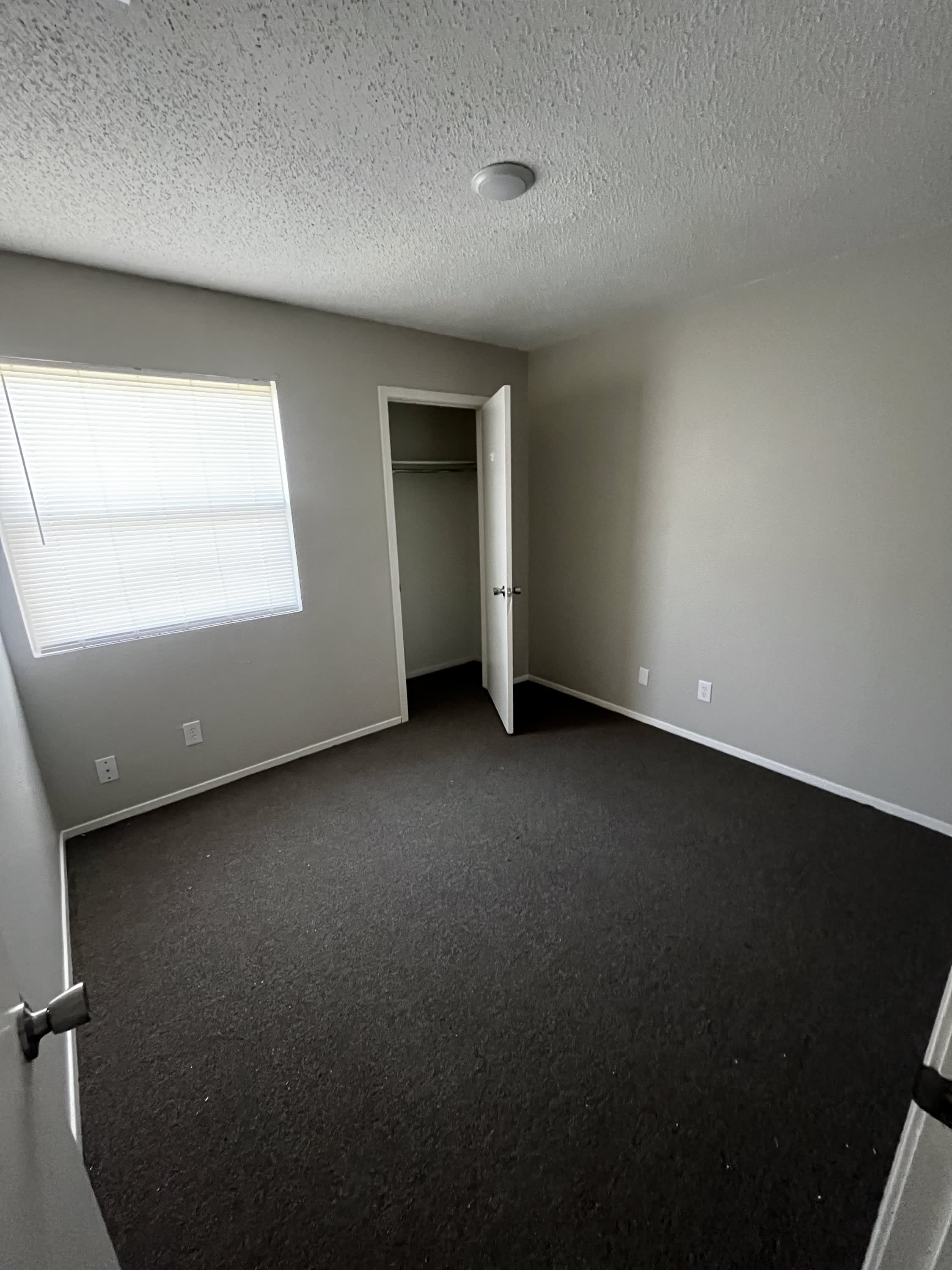 821 Bracewood Circle – photo 5