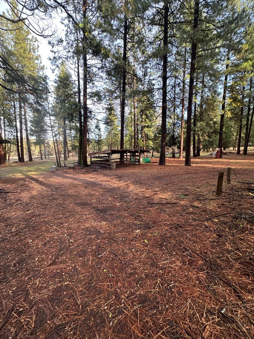 18515 Freight Rd Ln – photo 3