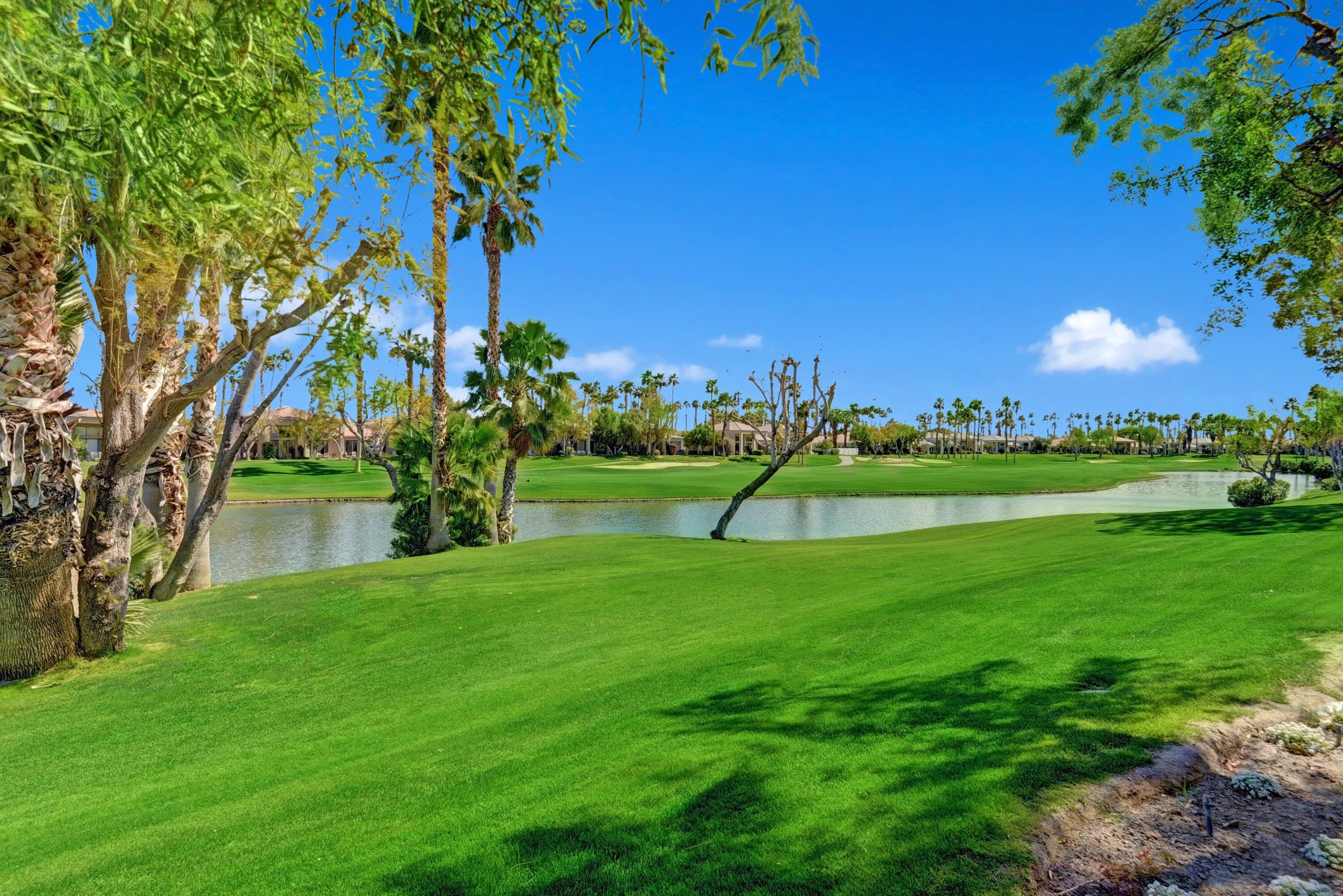 54492 Shoal Creek – photo 5