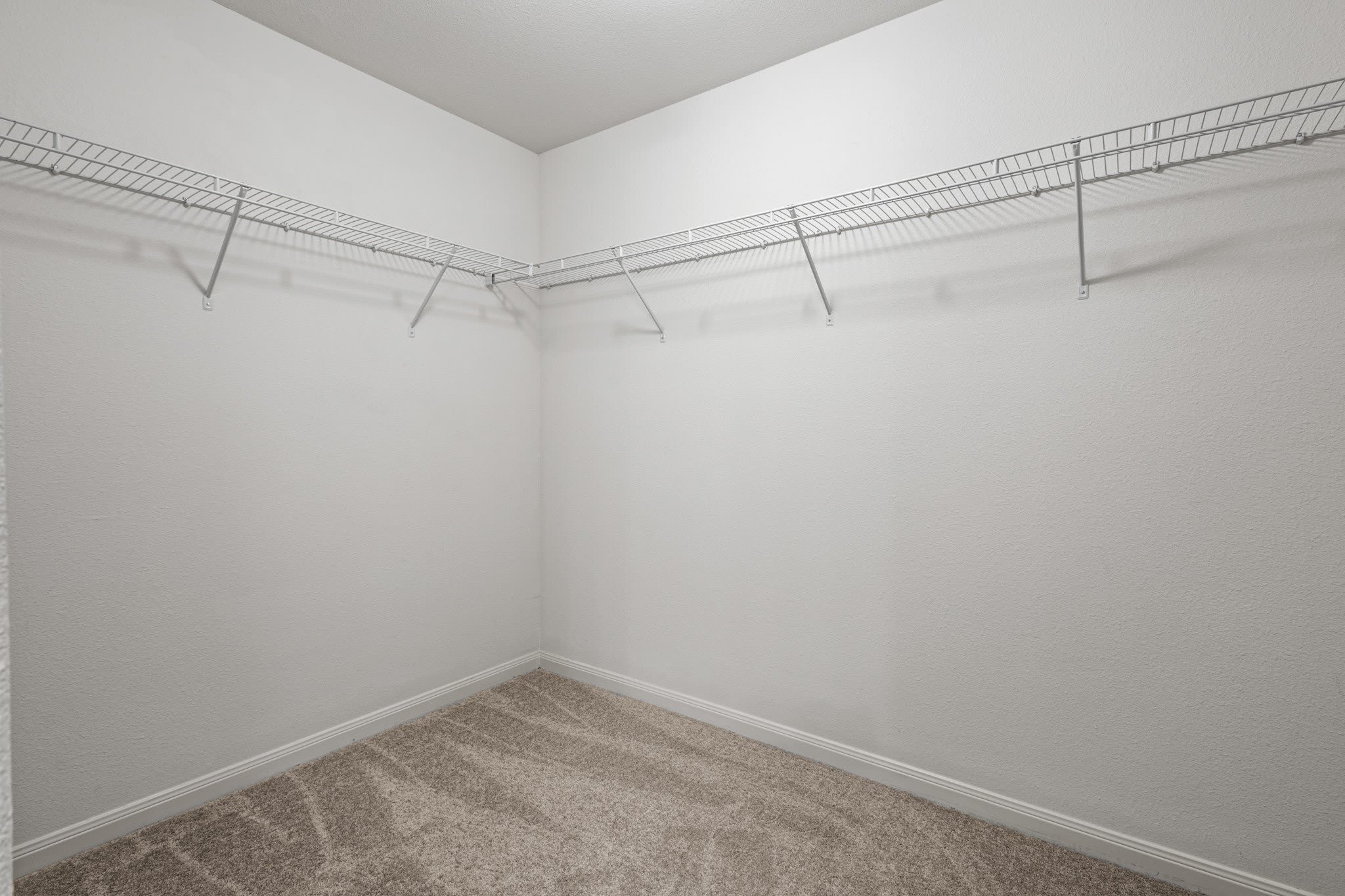 4308 Cat Tail Way – photo 5