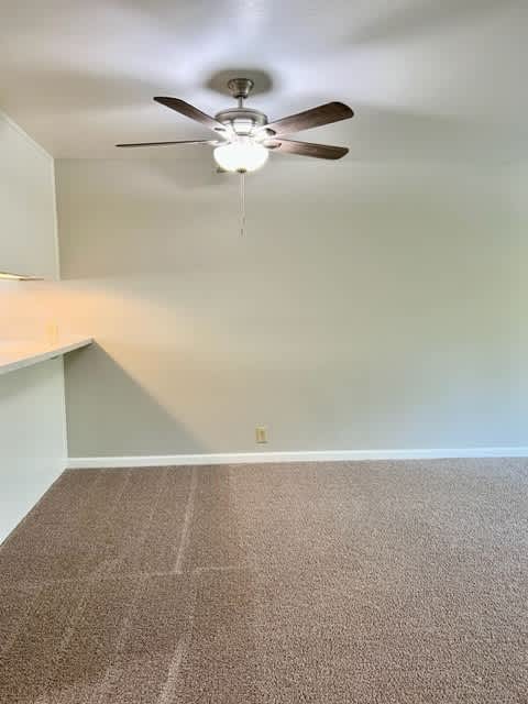 1731 Ellis Street 28 – photo 5