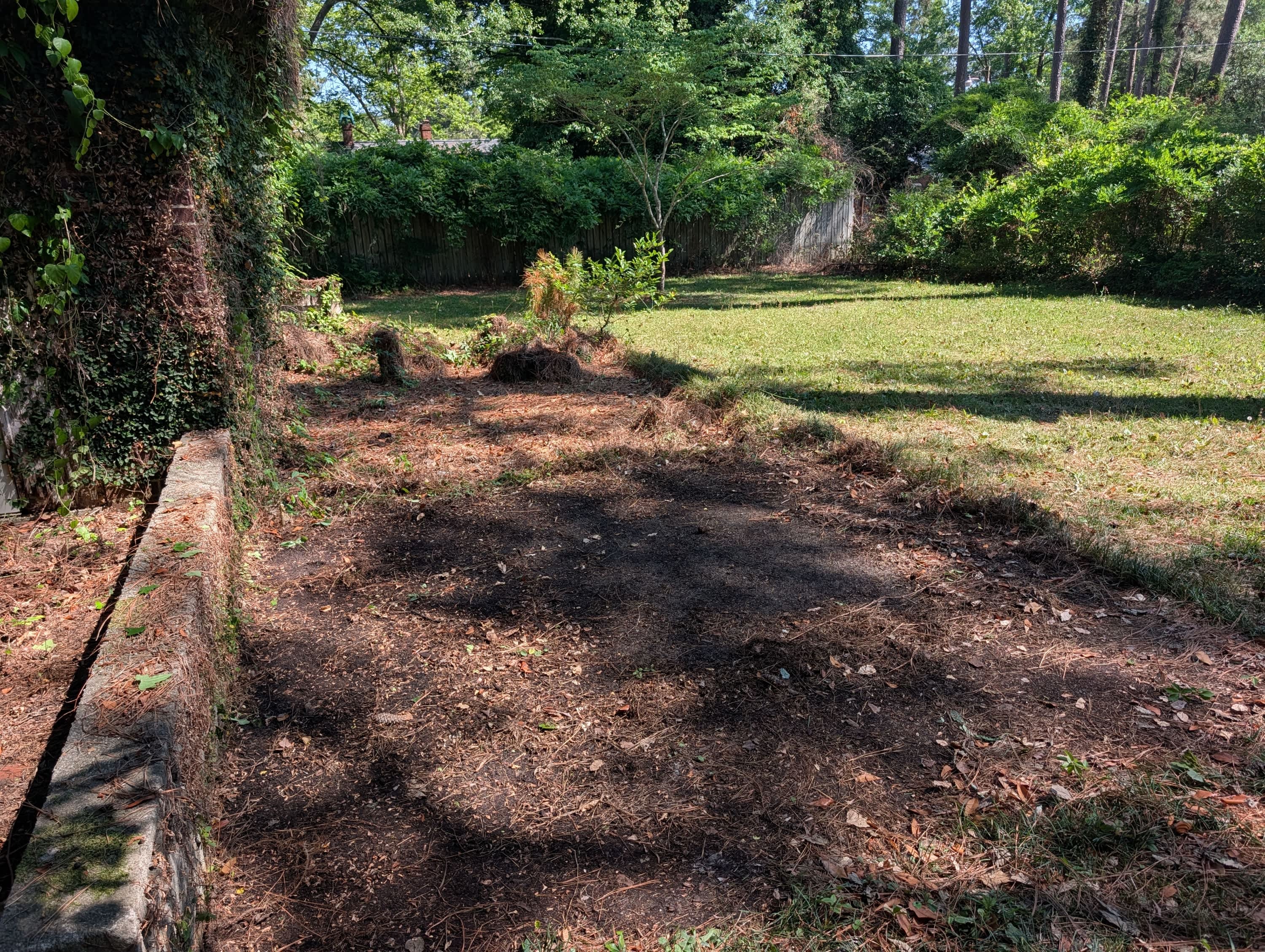 1007 Wildwood Avenue – photo 5