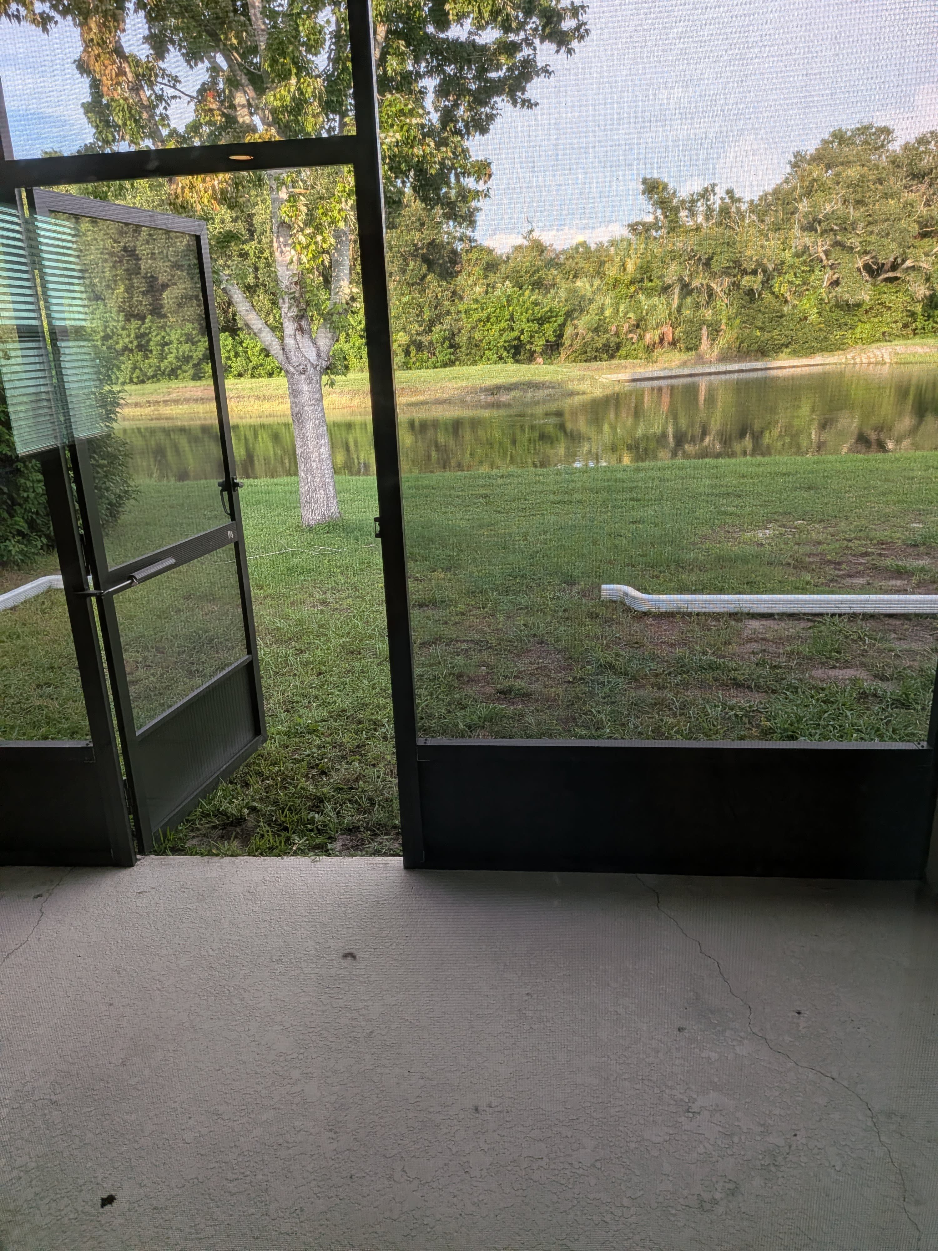 11517 Quiet Forest Drive – photo 5