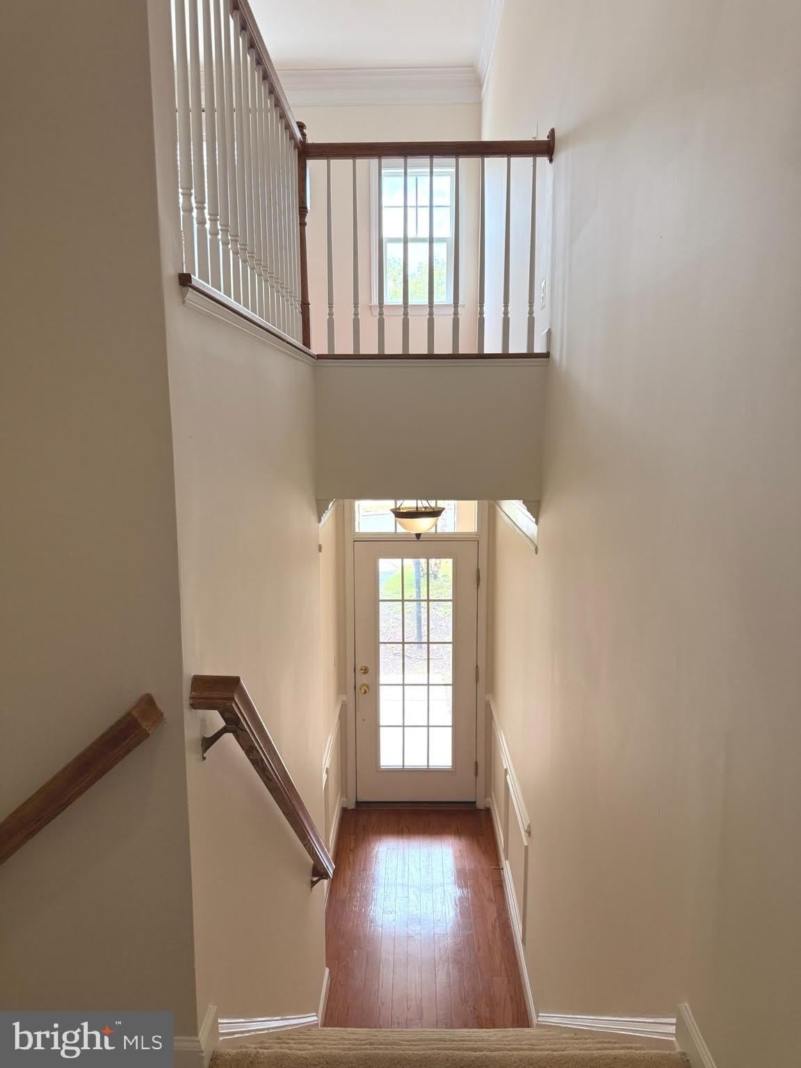 14170 Catbird Drive – photo 2