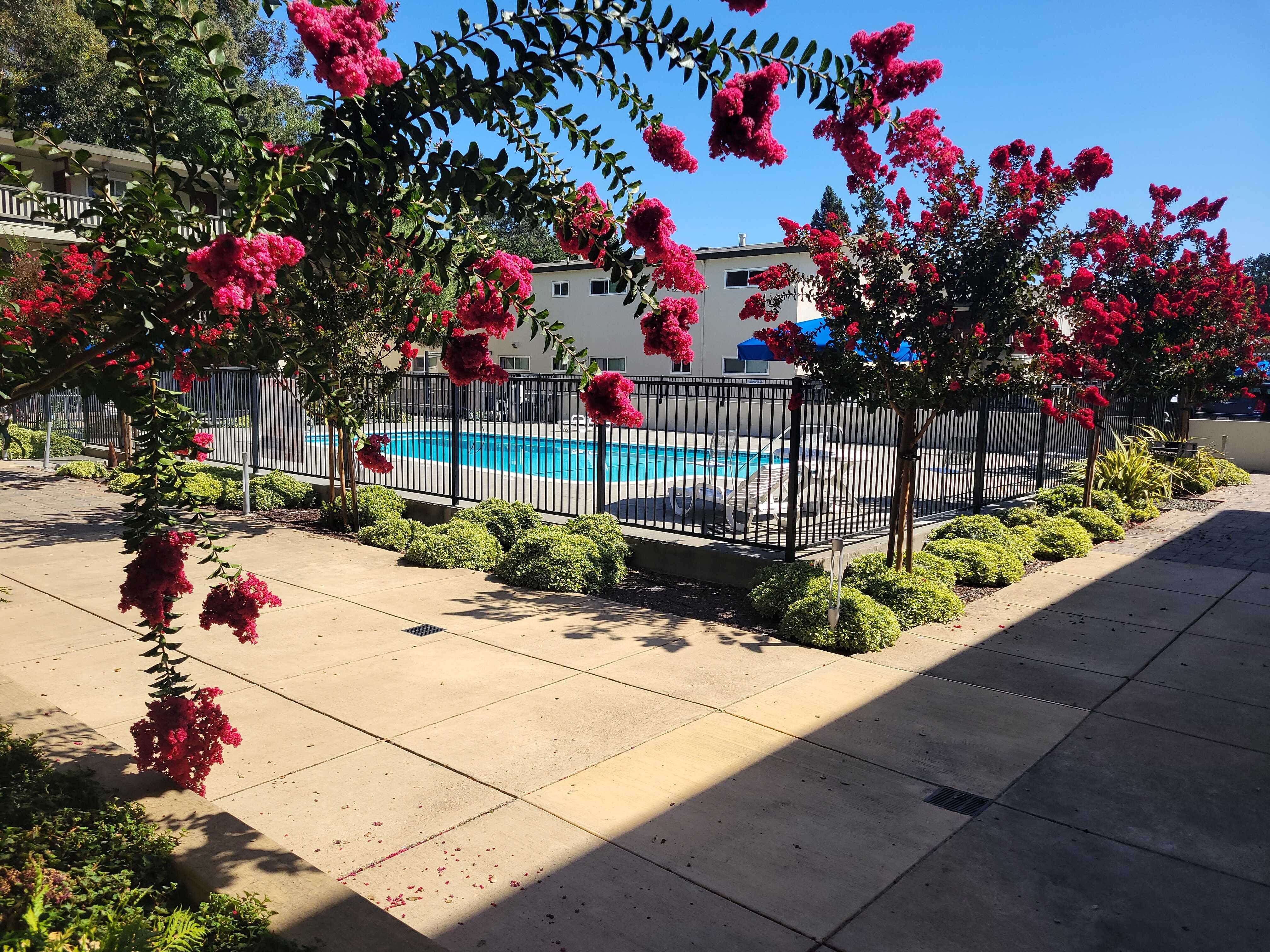 Pacific Garden – photo 5