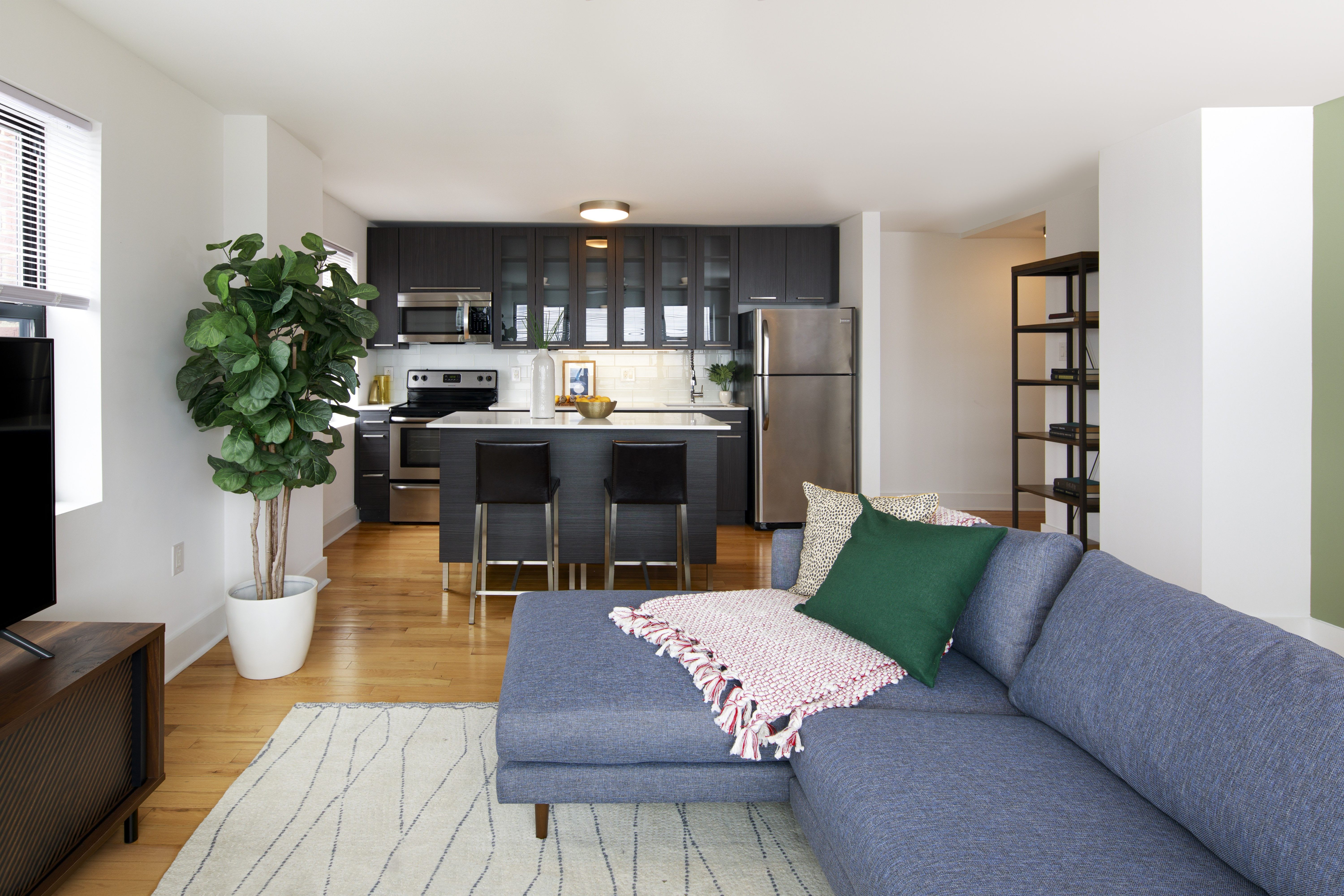 717 729 Spruce Street – photo 3