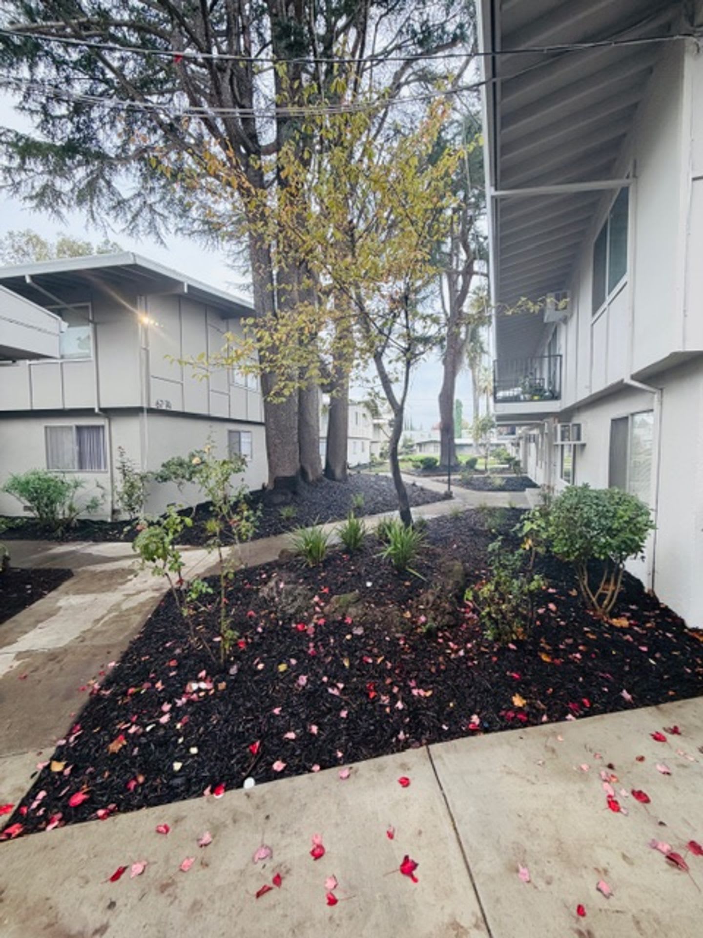 Park Hills Place – photo 3