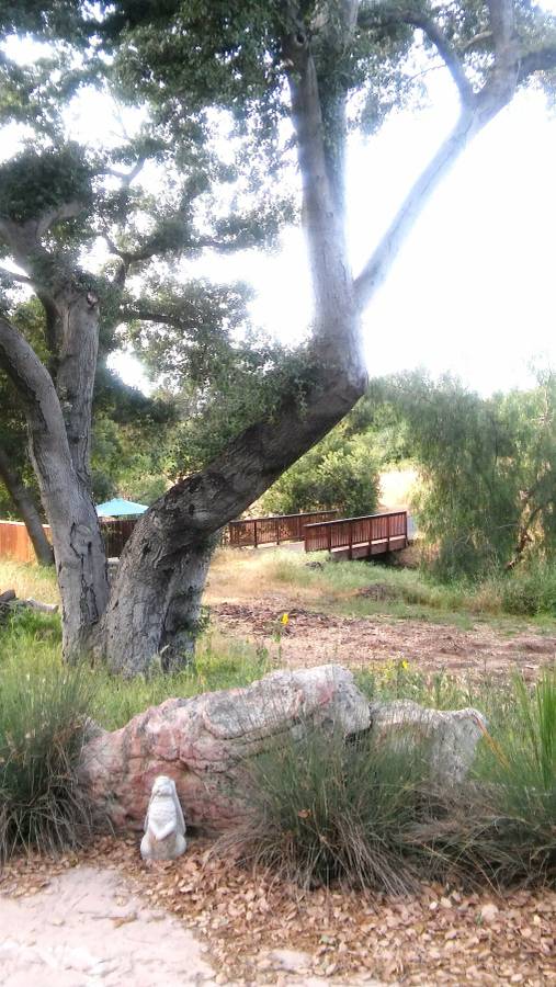 14519 Rios Canyon Road, #b – photo 2