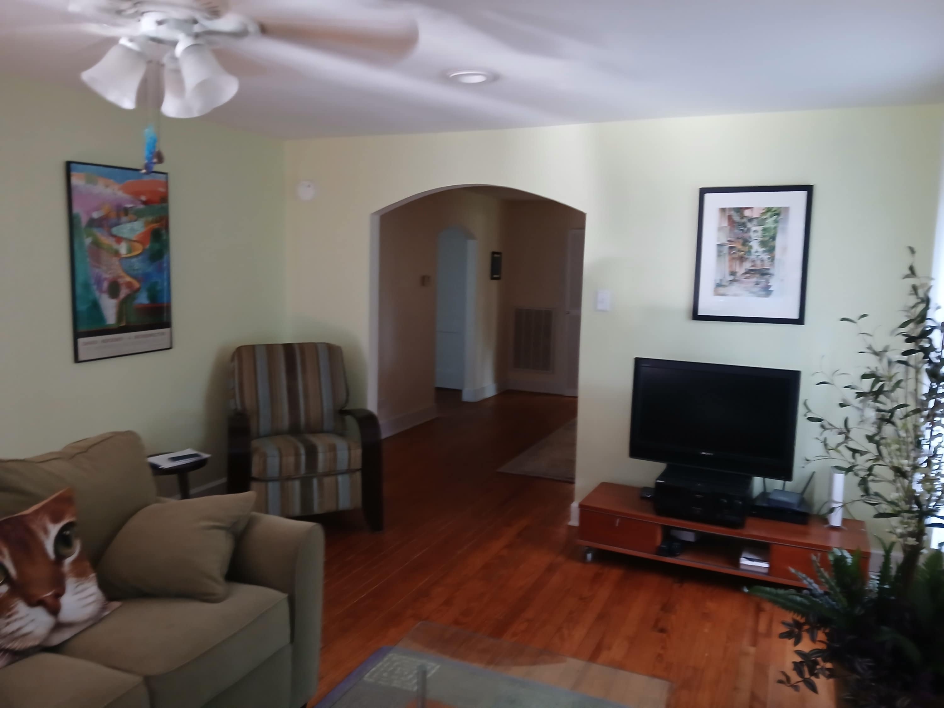 2403 Pine Haven Street – photo 2