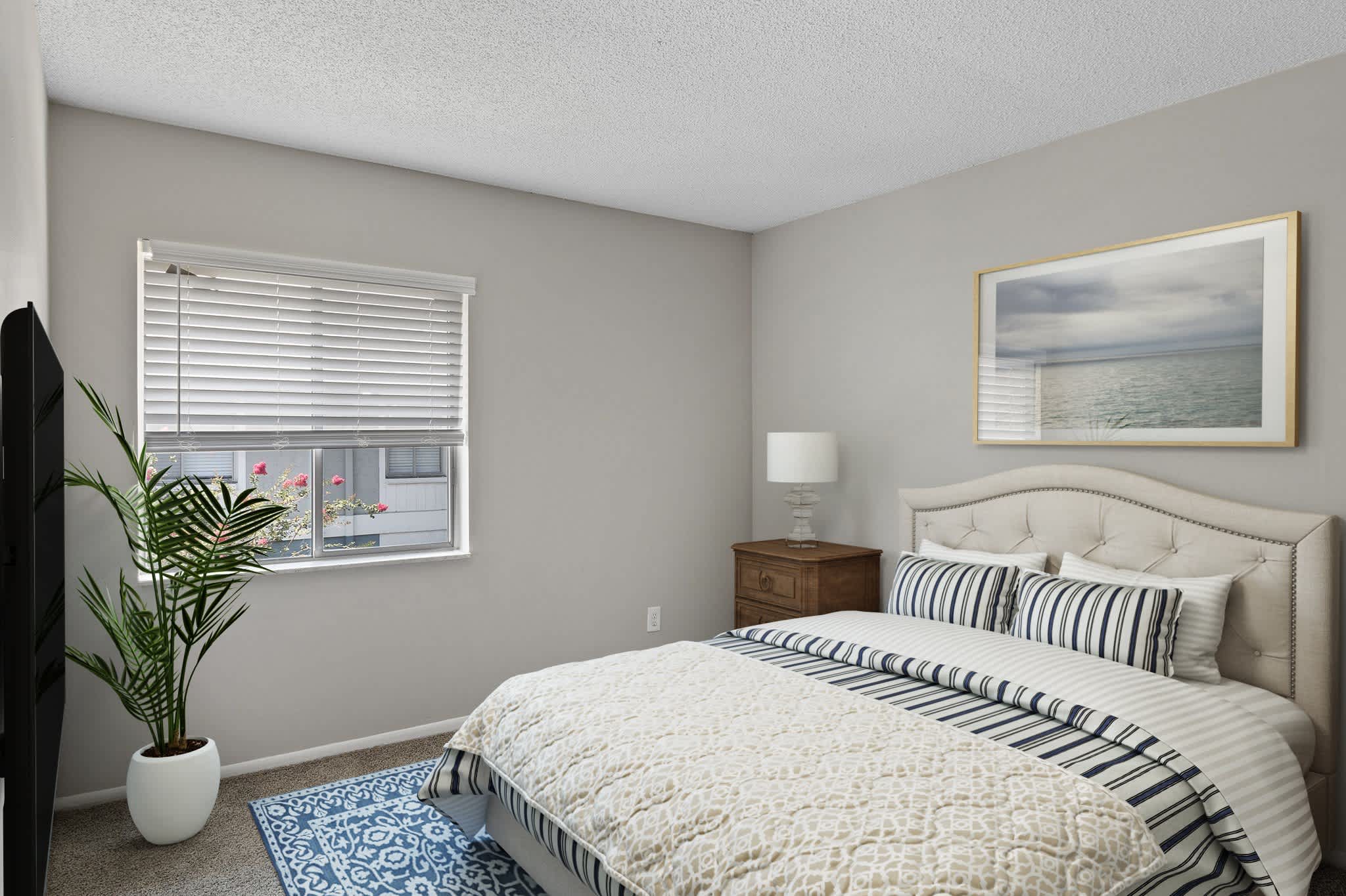 The Palms at Countryside Apartments – photo 5