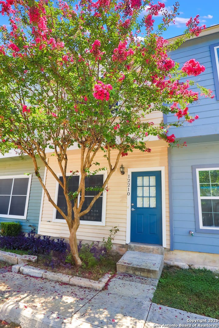 12210 Apricot Dr – photo 2