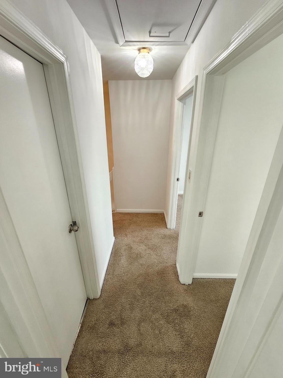 2939 SHEPPERTON Terrace – photo 3