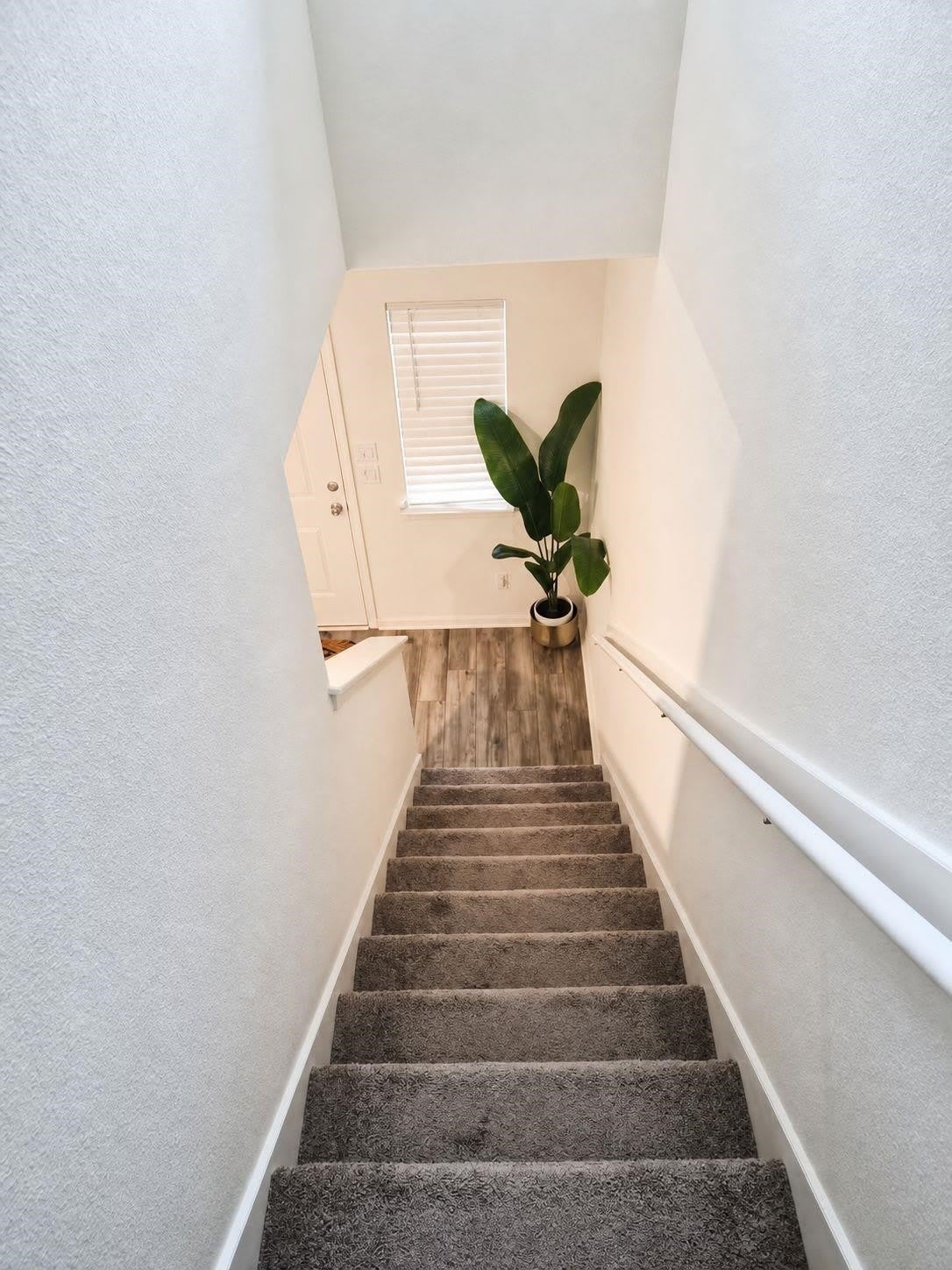 64 Pittman Ct – photo 5