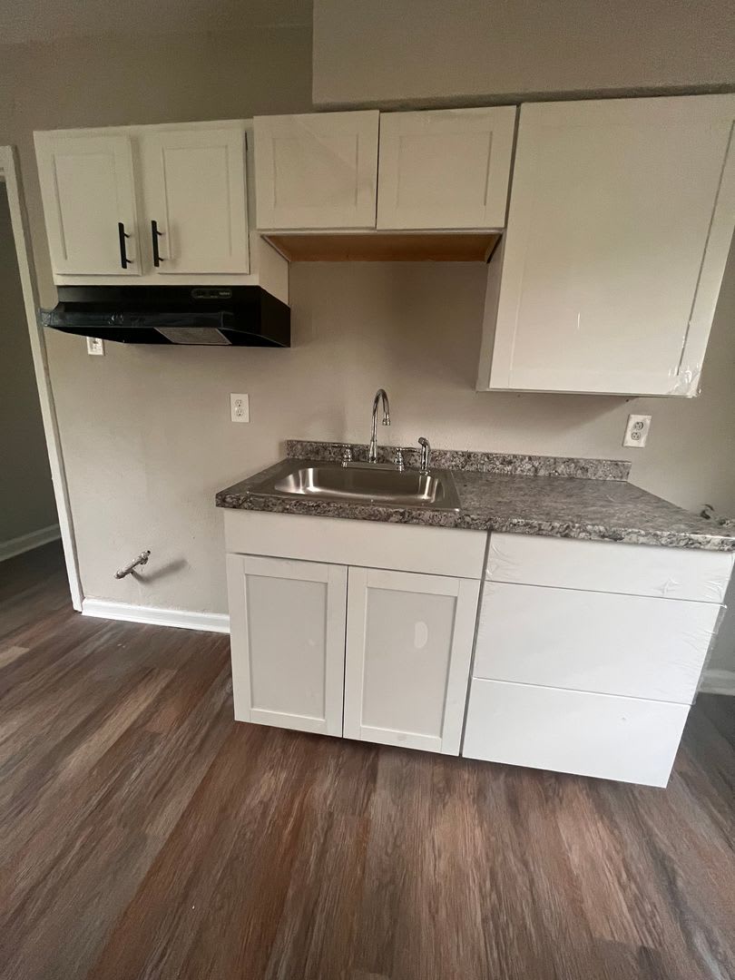 Newly Renovated Unit in Heart of Memphis – photo 4