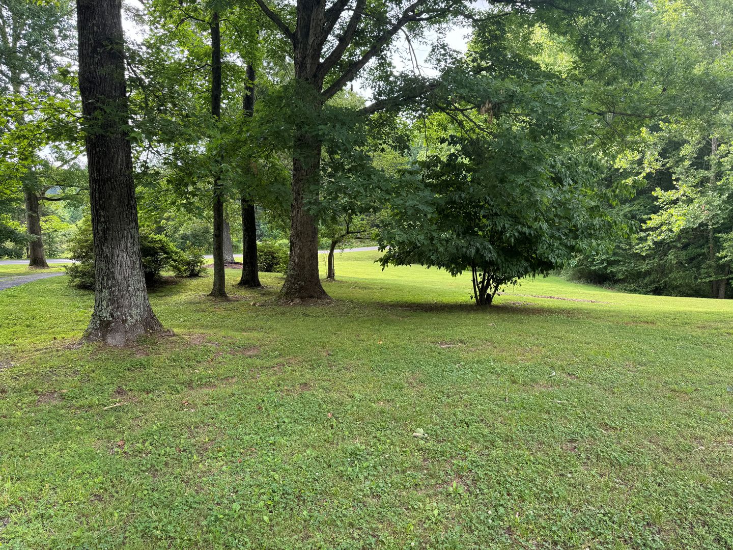 Available to Show – photo 2