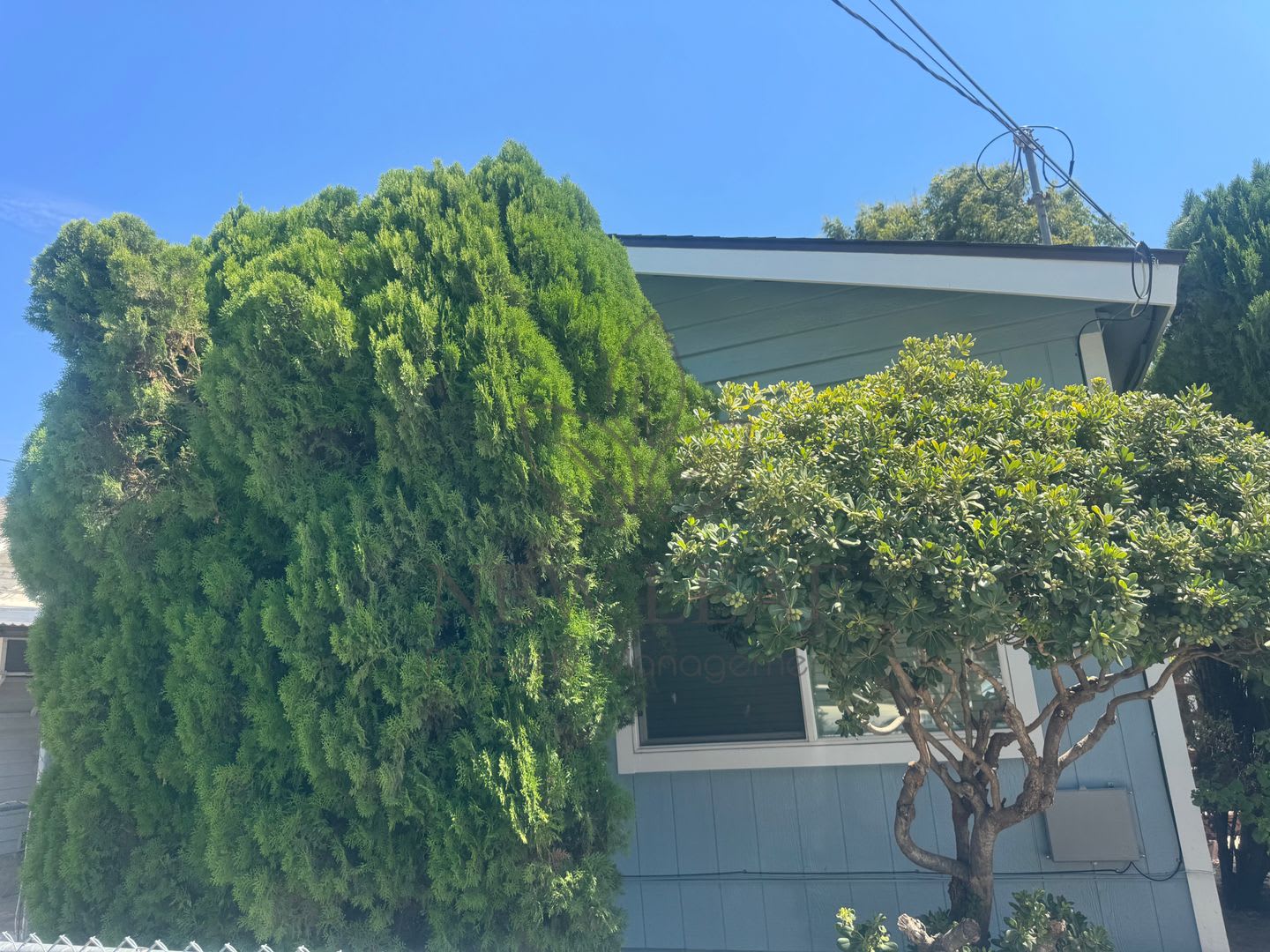 In the heart of Loma Linda – photo 4