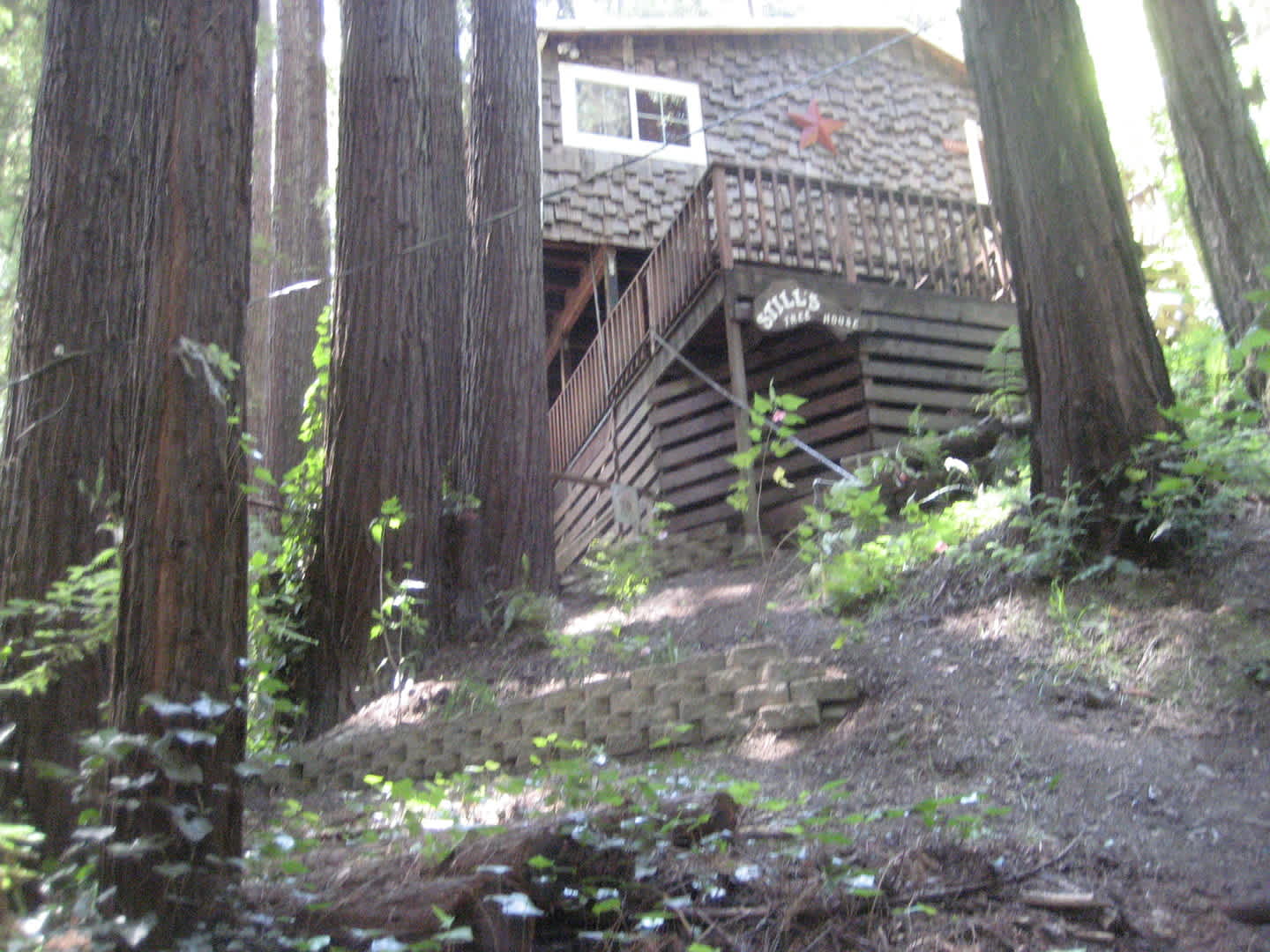One bedroom Private Hilltop home washer, dryer, decks, redwoods – photo 2