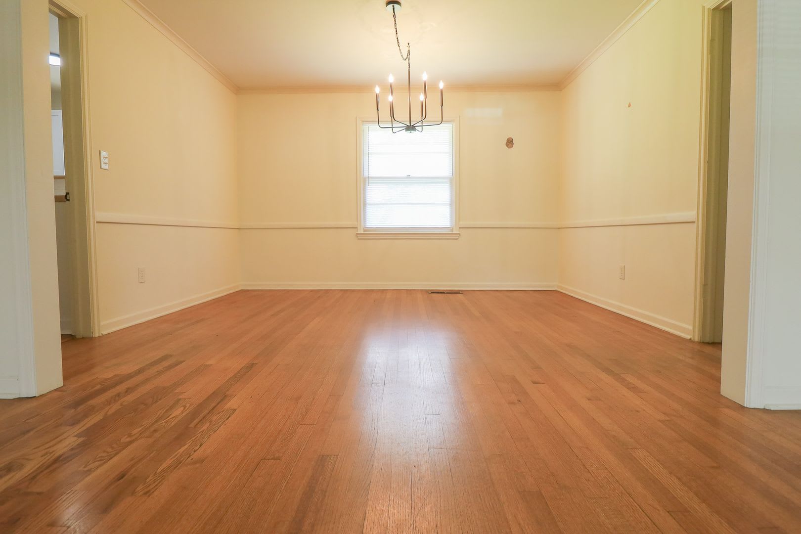Stunning 3 Bed 1.5 Bath on quiet Cul De Sac! – photo 4
