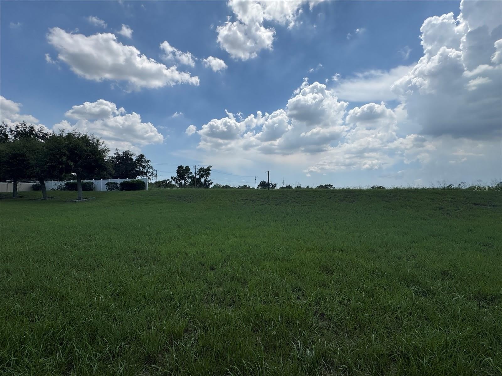 317 DOWN PINE Drive – photo 4