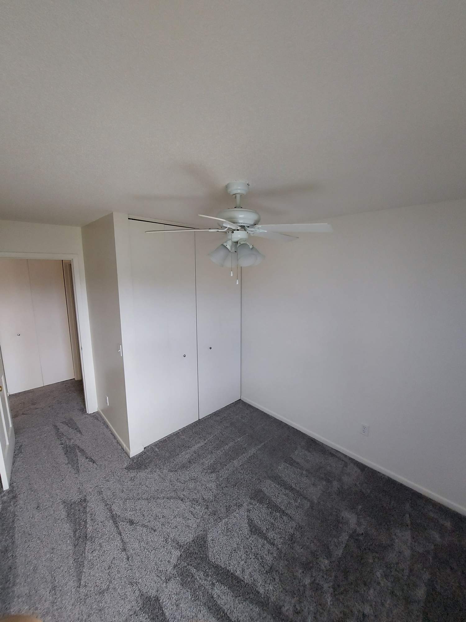 530 Korb Street – photo 5