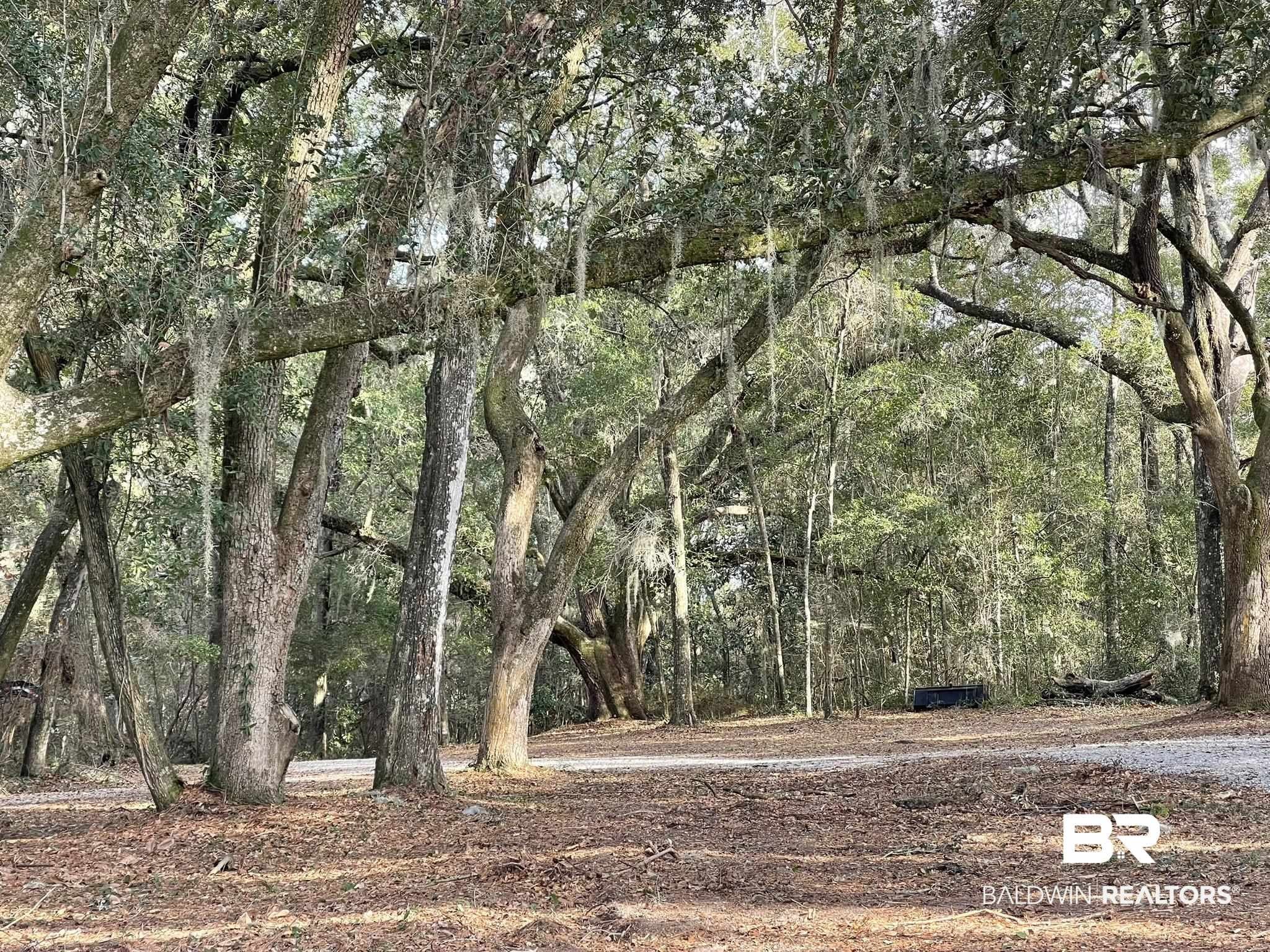 6621 Purvis Road – photo 3