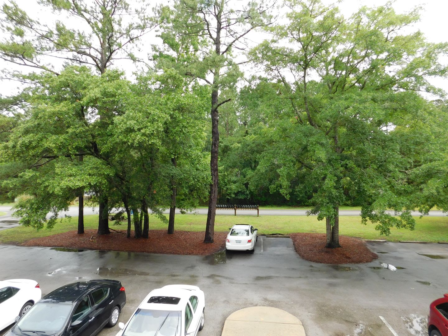 6222 Harbourside Drive – photo 4