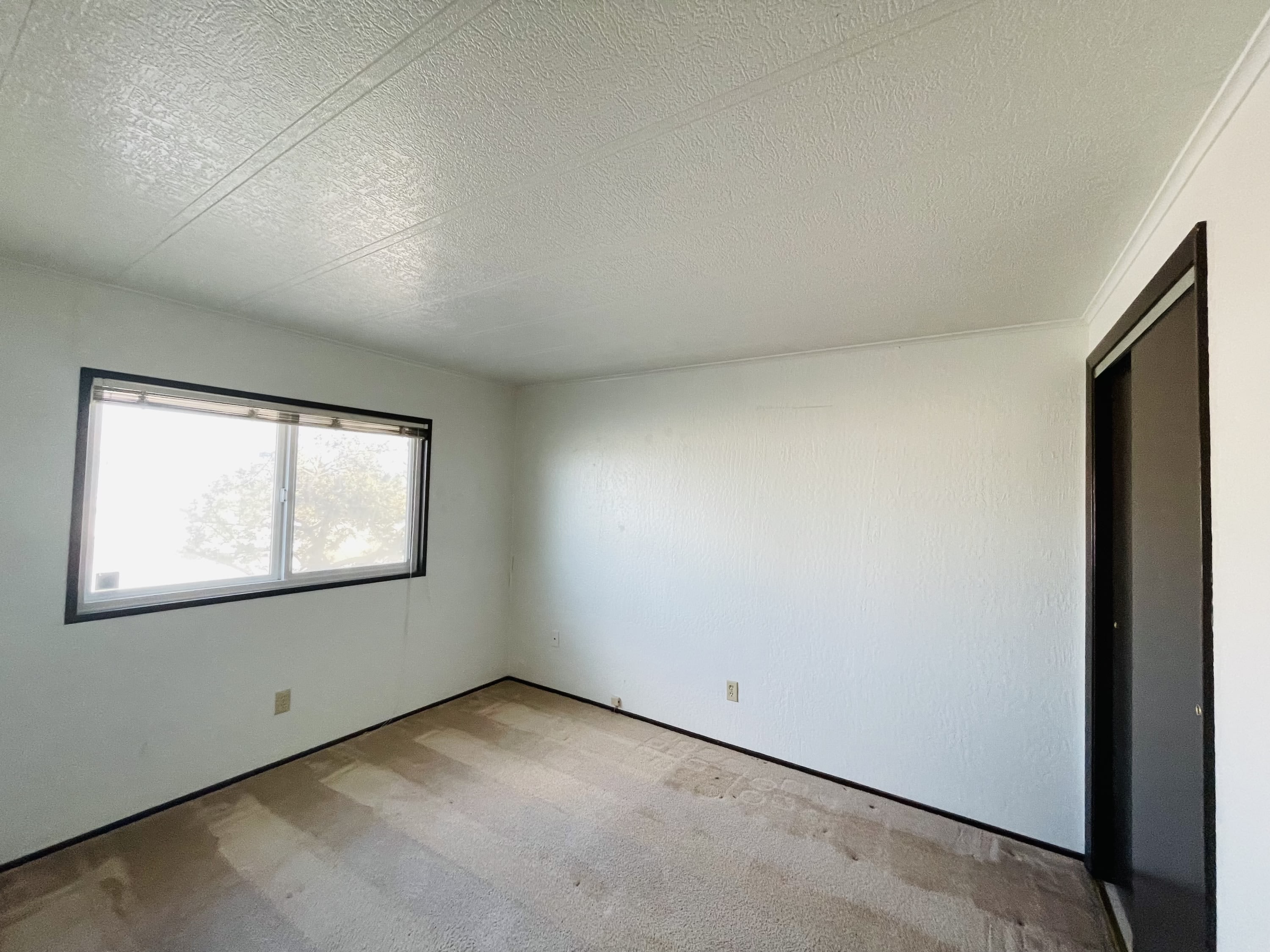 852 Dodge Lane – photo 4