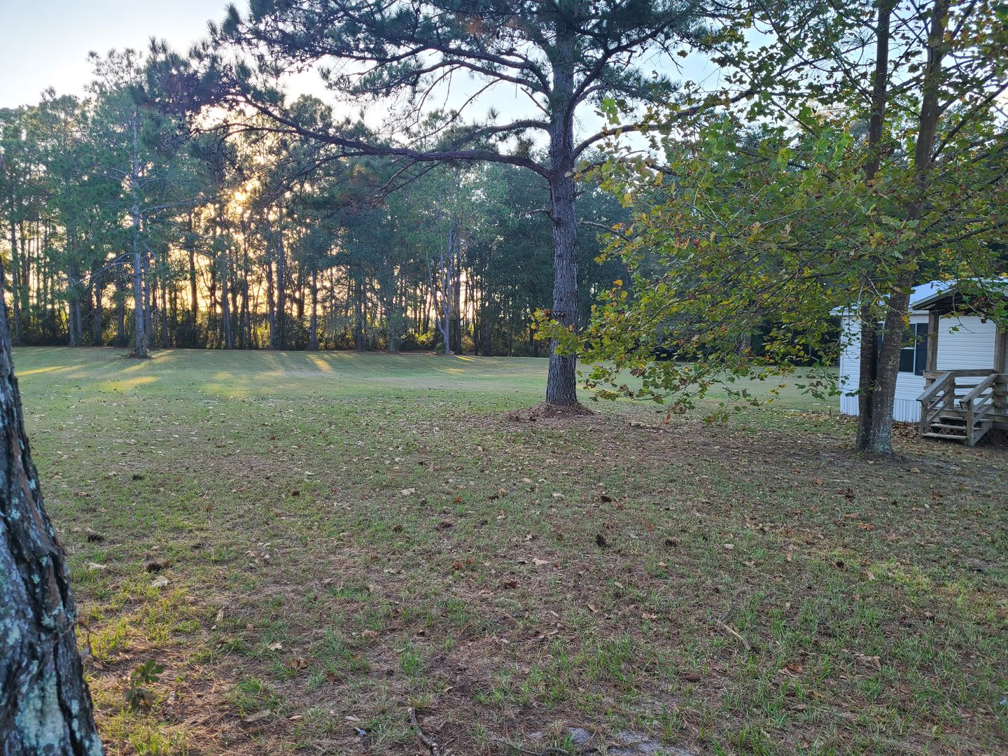 3/2 on 6 Acres in Archer! – photo 2