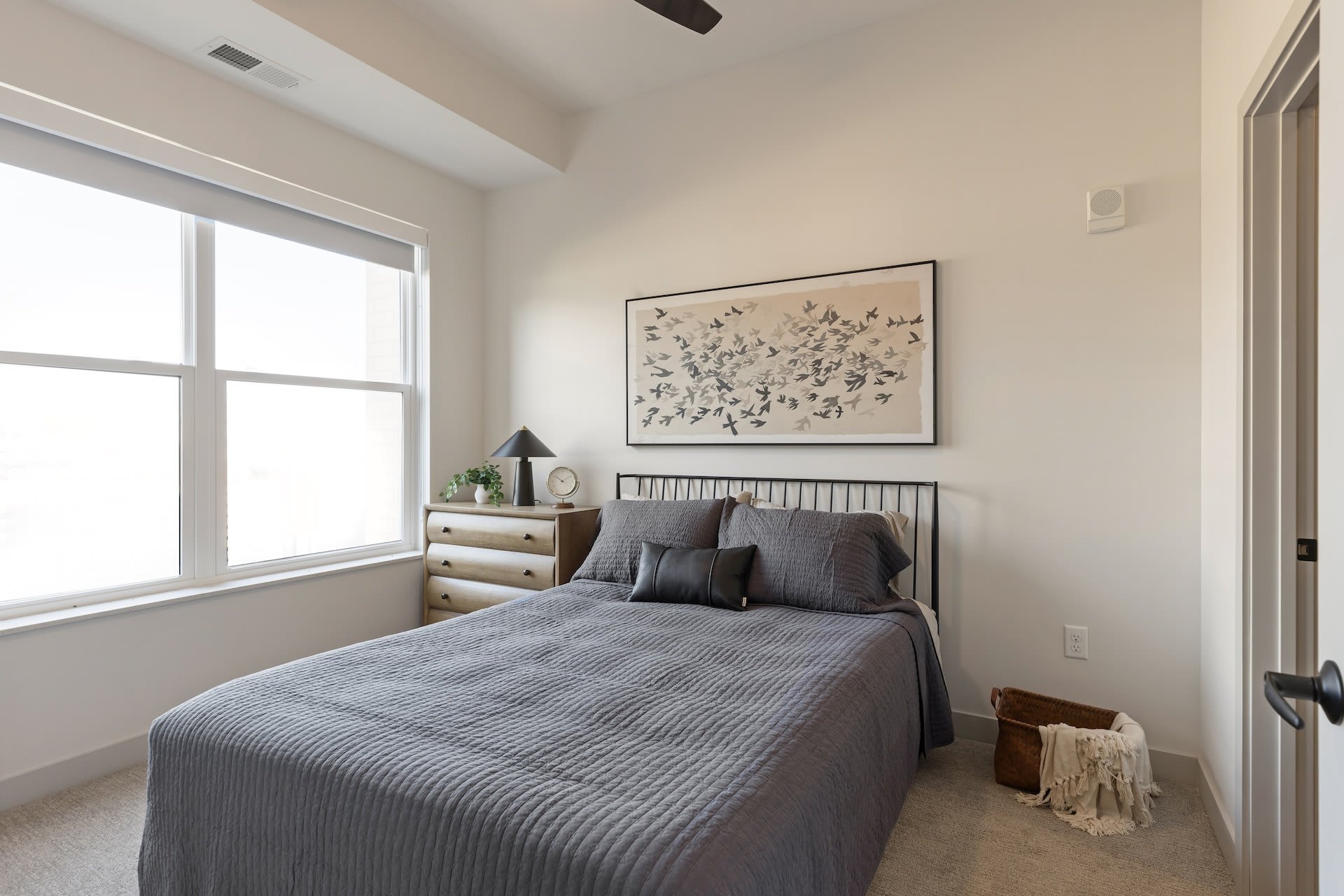 Belterra – photo 4