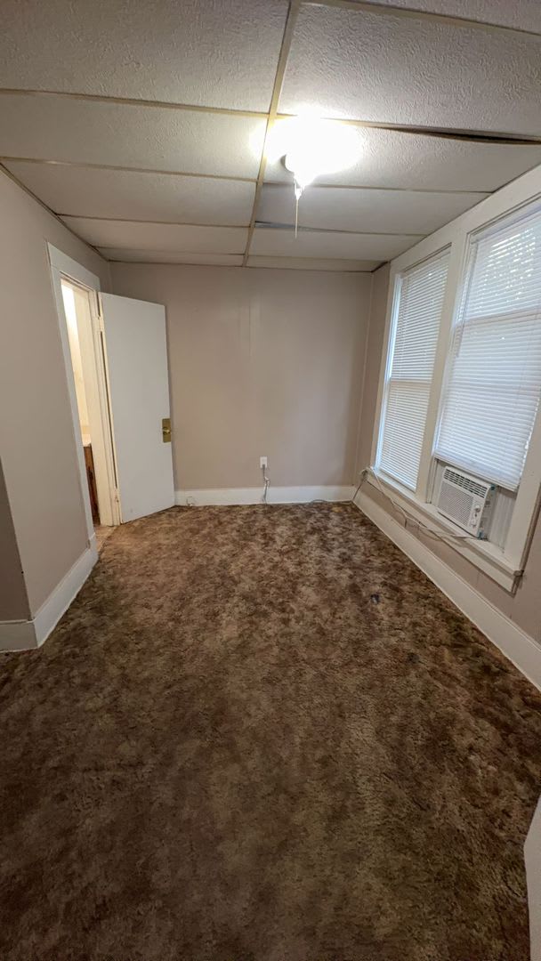 315 N MADISON – photo 5