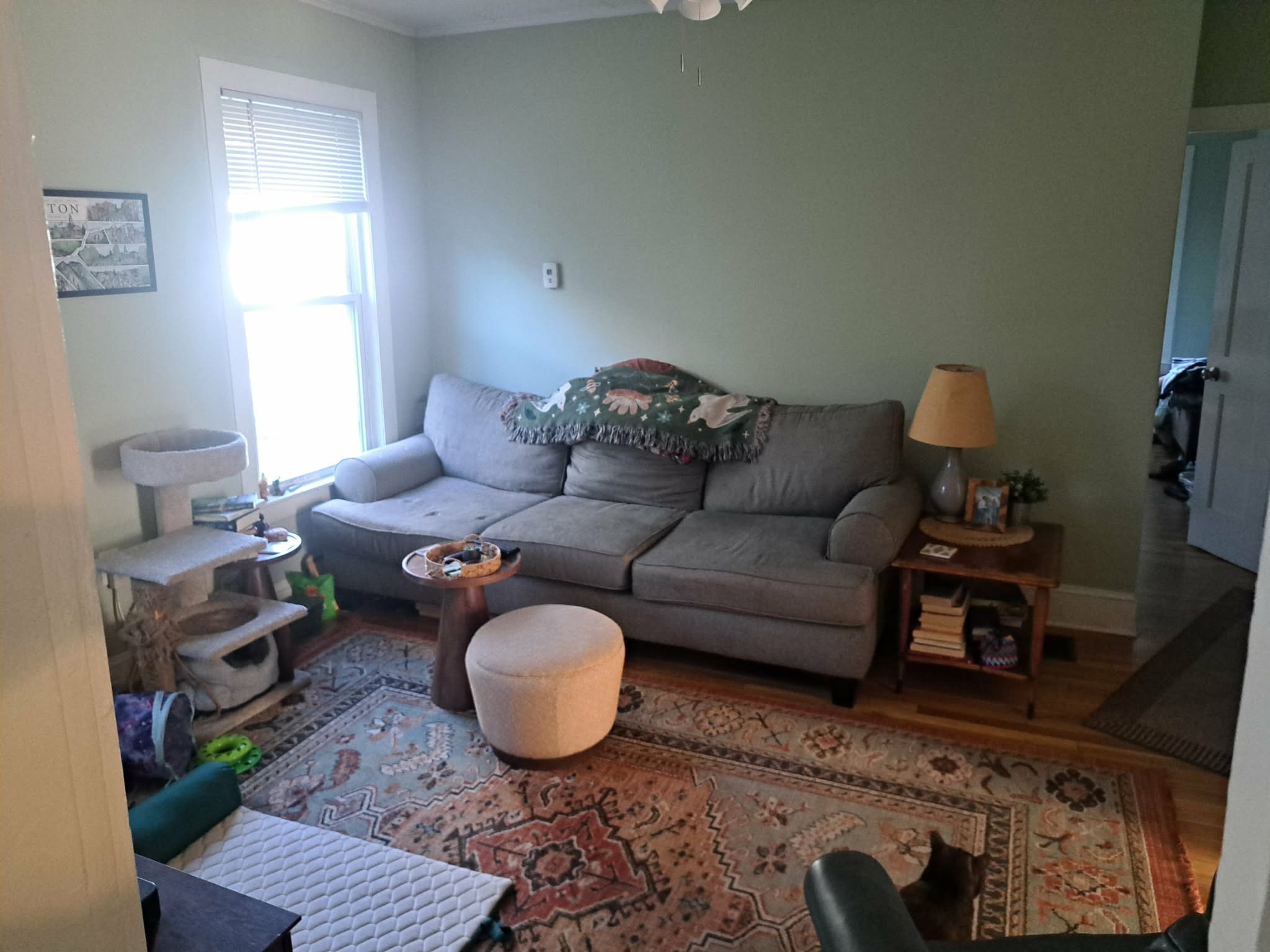377 Pearl Street – photo 5