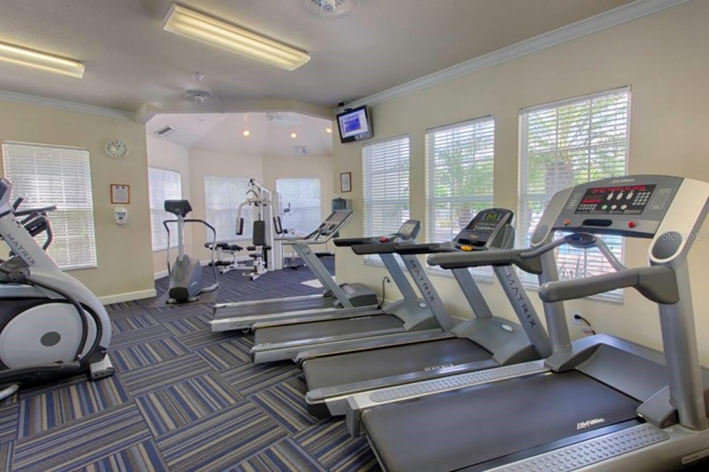 8100 PRINCESS PALM Lane – photo 2
