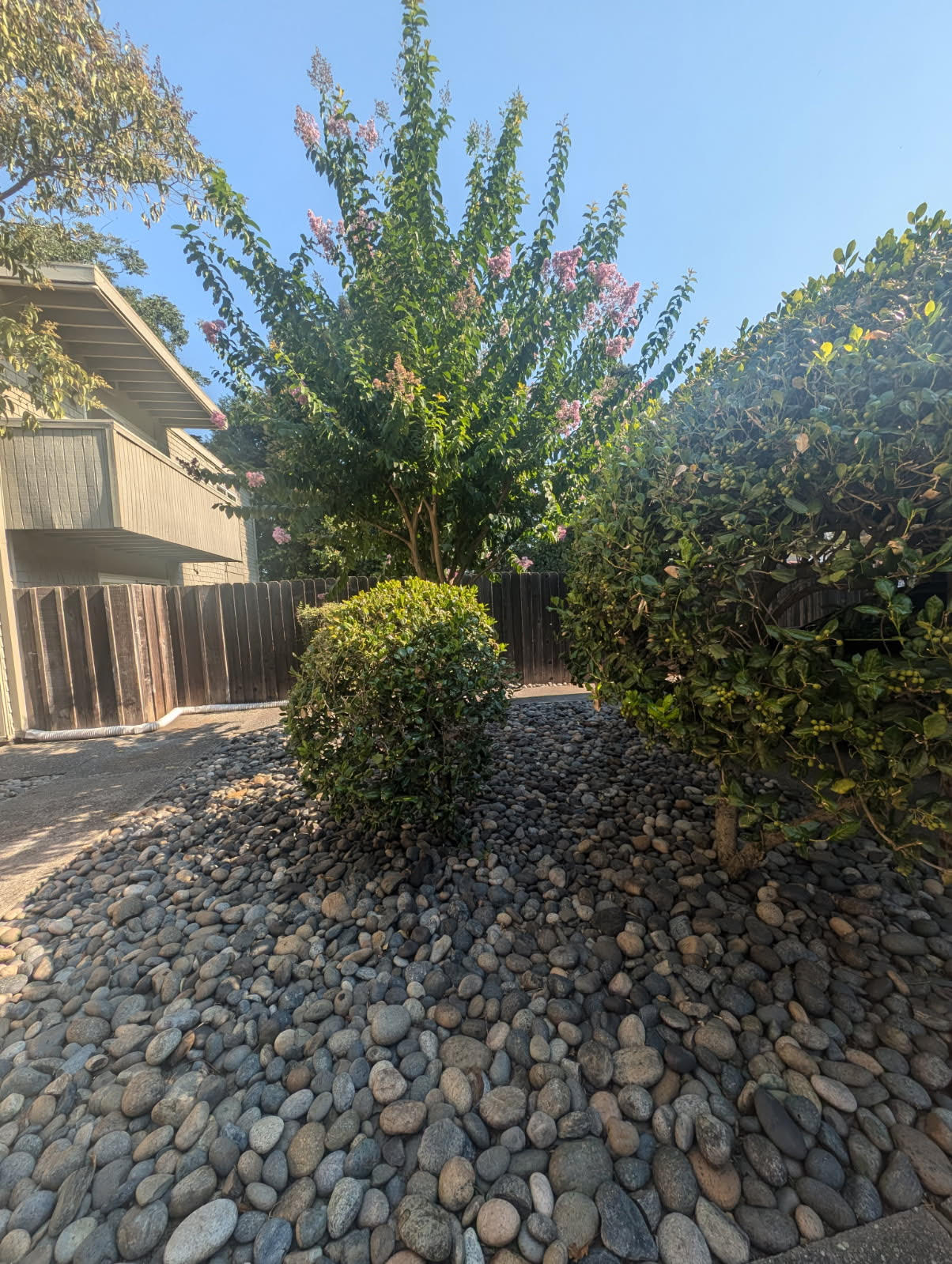 5 Mile House – photo 2