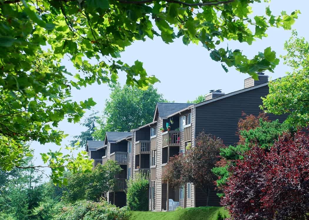 Bella Vista – photo 1
