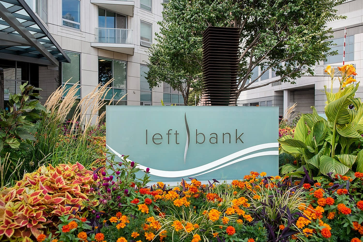 Left Bank – photo 5