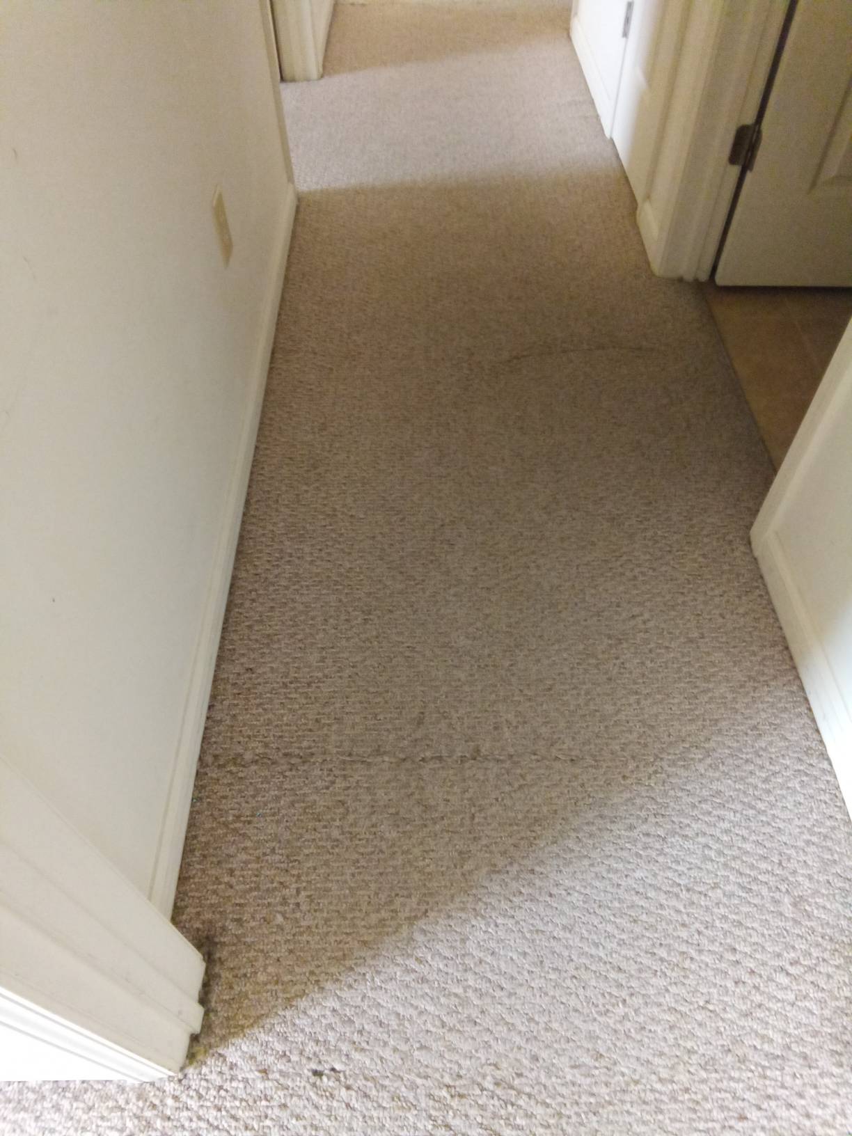 1655 Wichman Lane – photo 3